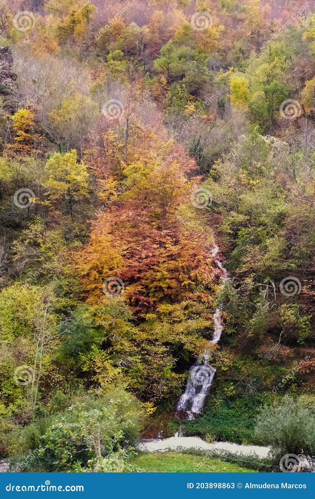 cascada en el bosque otoÃÂ±al