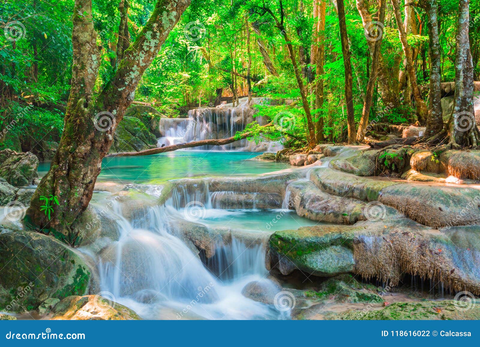 Cascada en el bosque