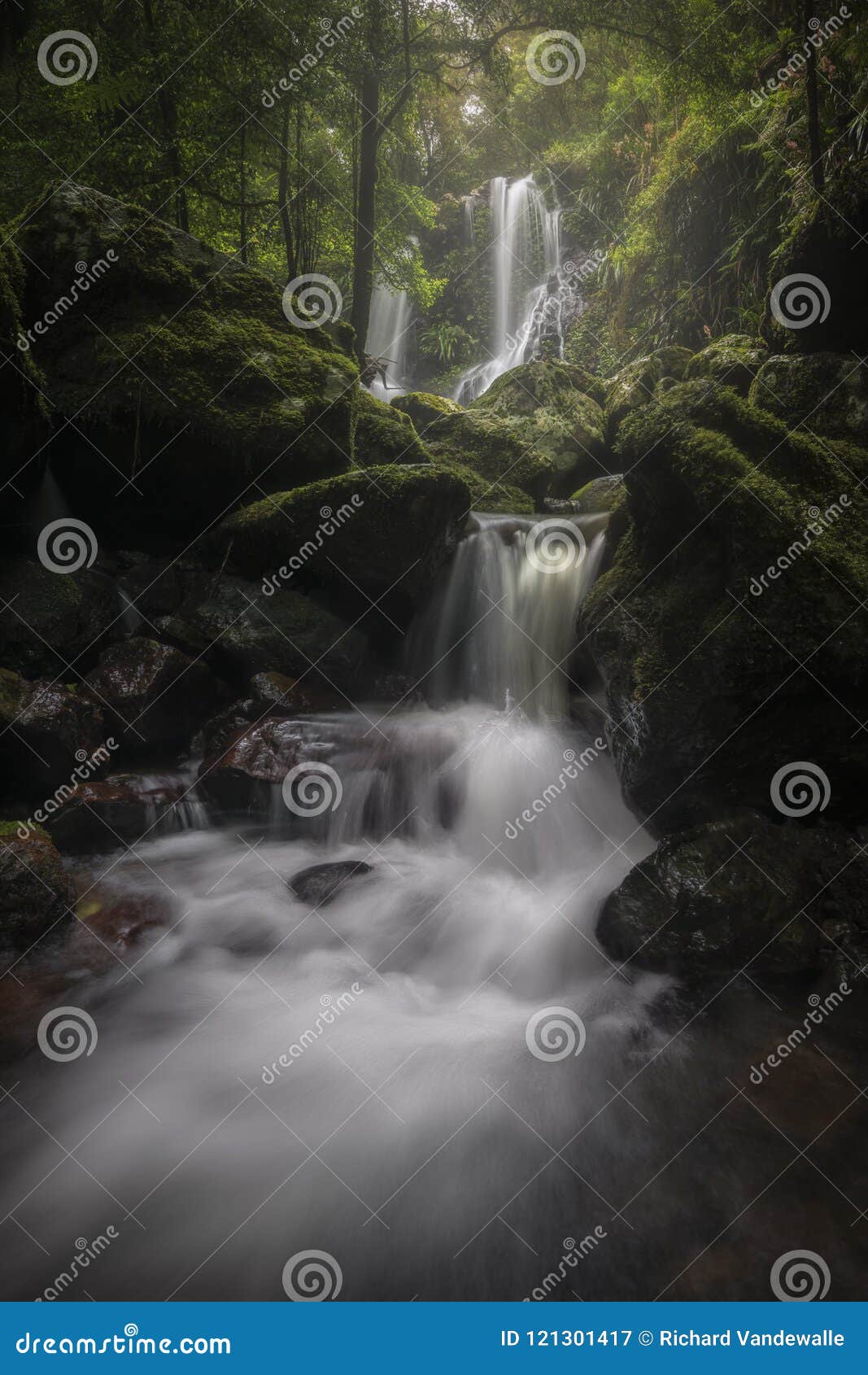 ABAKUHAUS Agua Tapiz, Asia Tailandia Jungle árboles, Decoración De