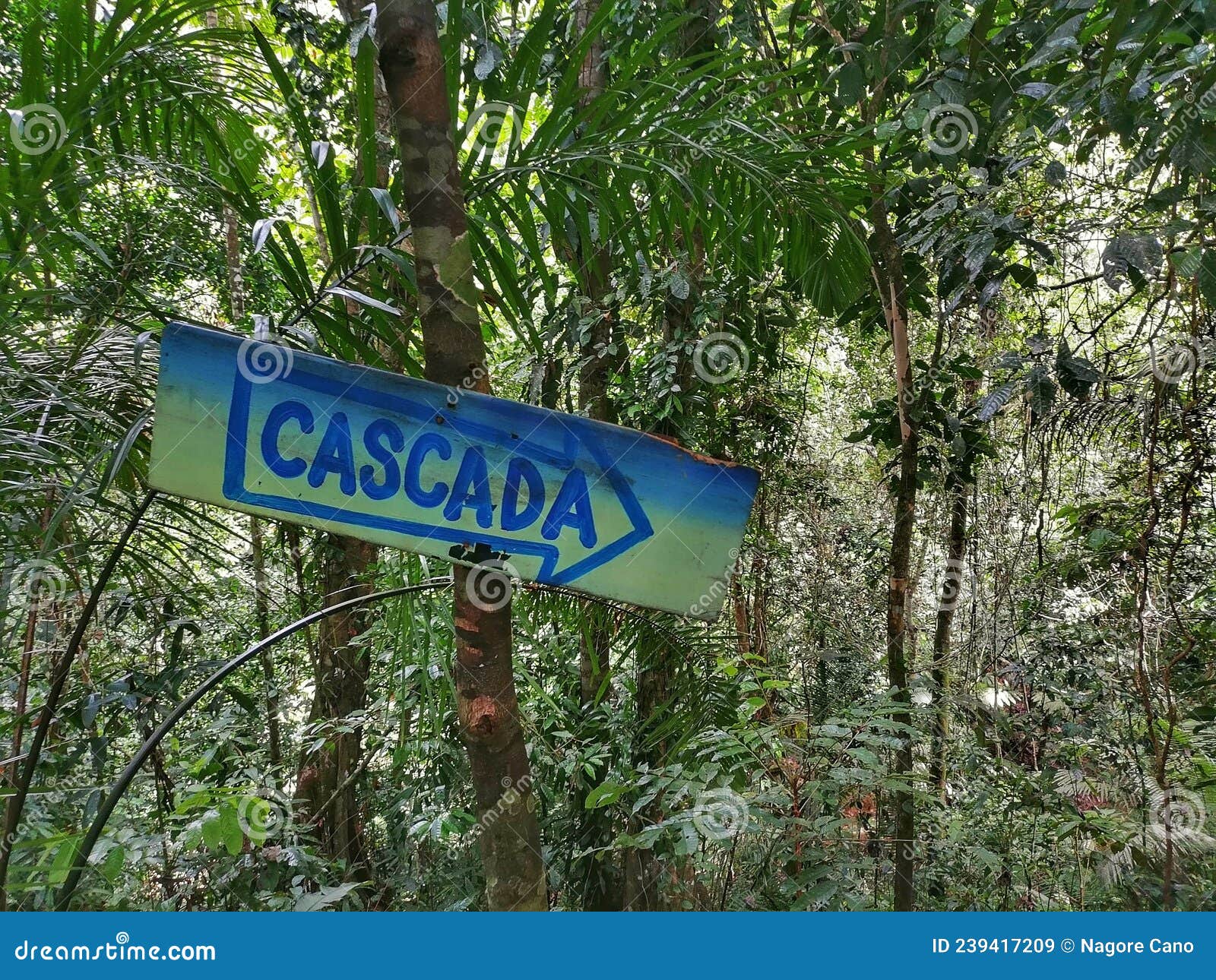 cascada sign in el cielo jungle in capurgana. choco. colombia.