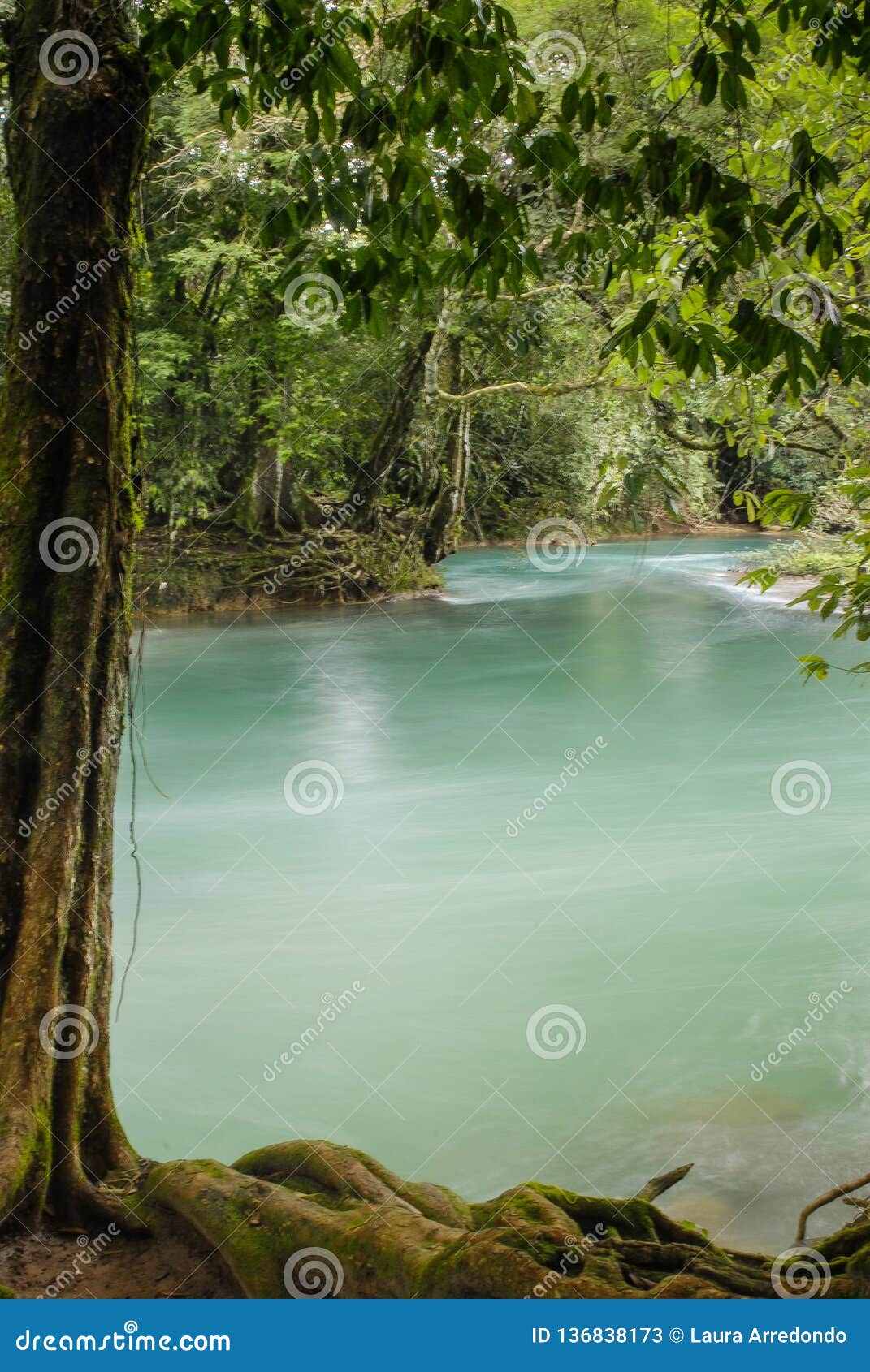 cascadas de agua azul waterfalls. agua azul.