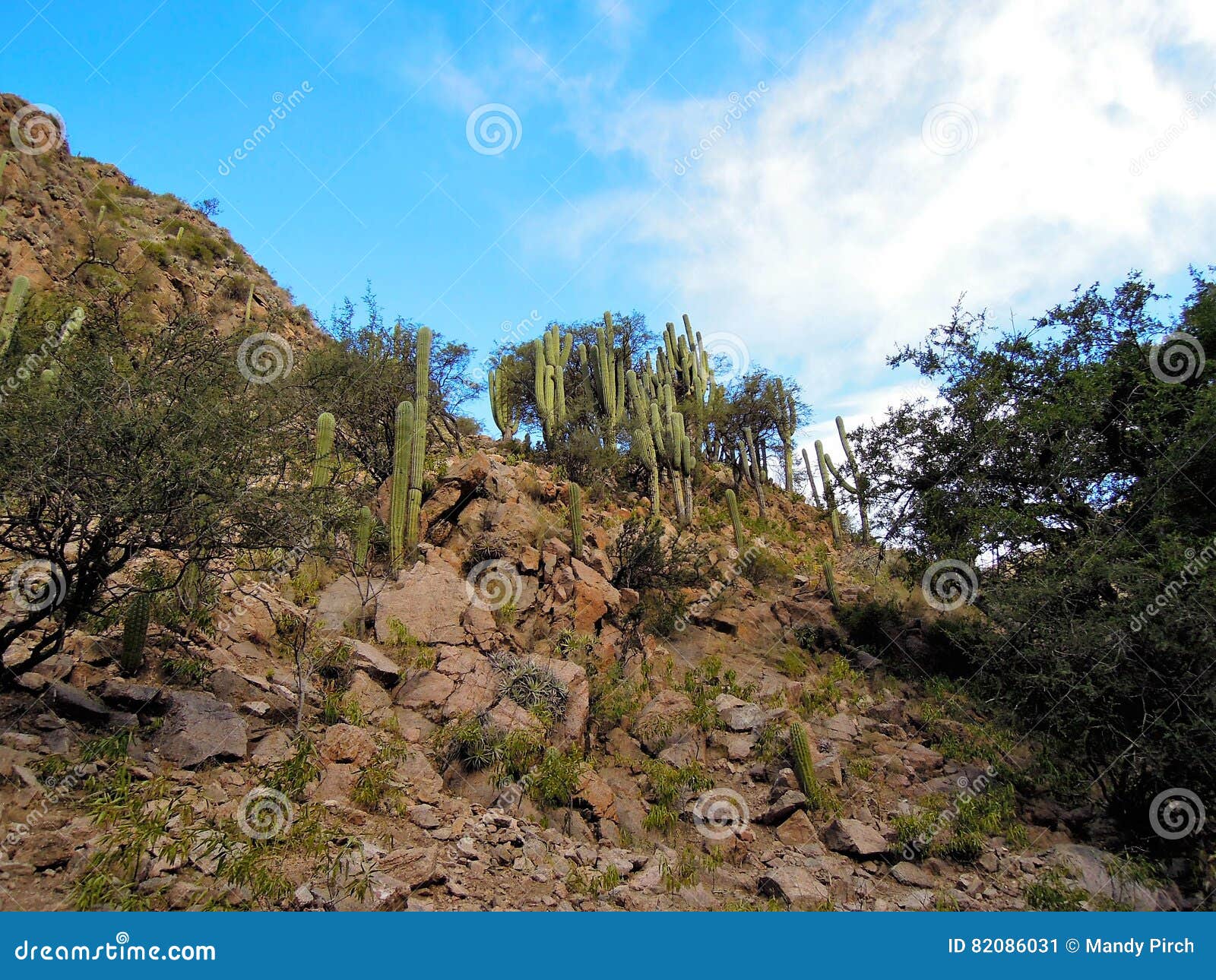 cascadas del rio colorado trek