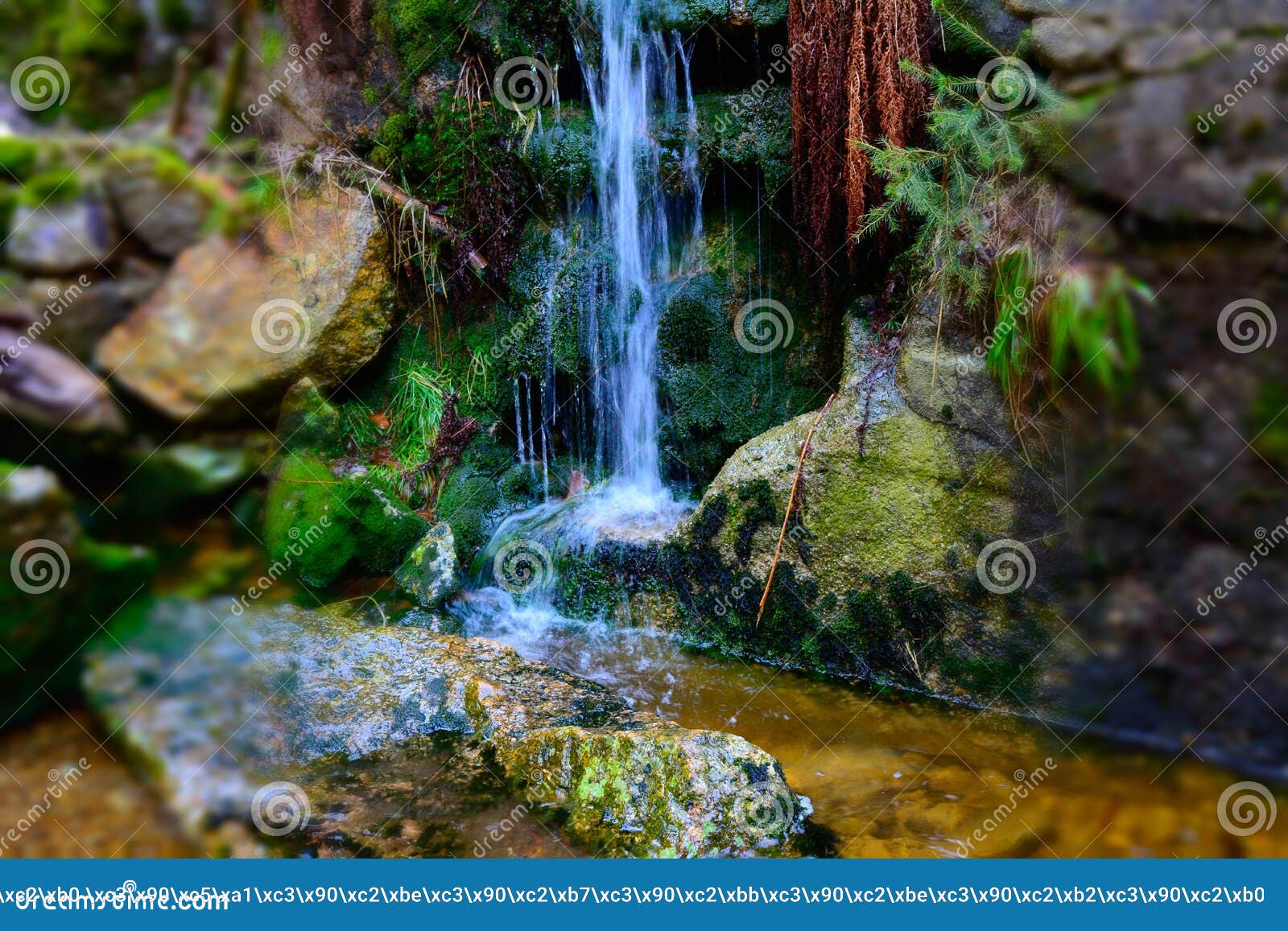 Cascade Falls Over Mossy Rocks Stock Photo Image Of Spring Park