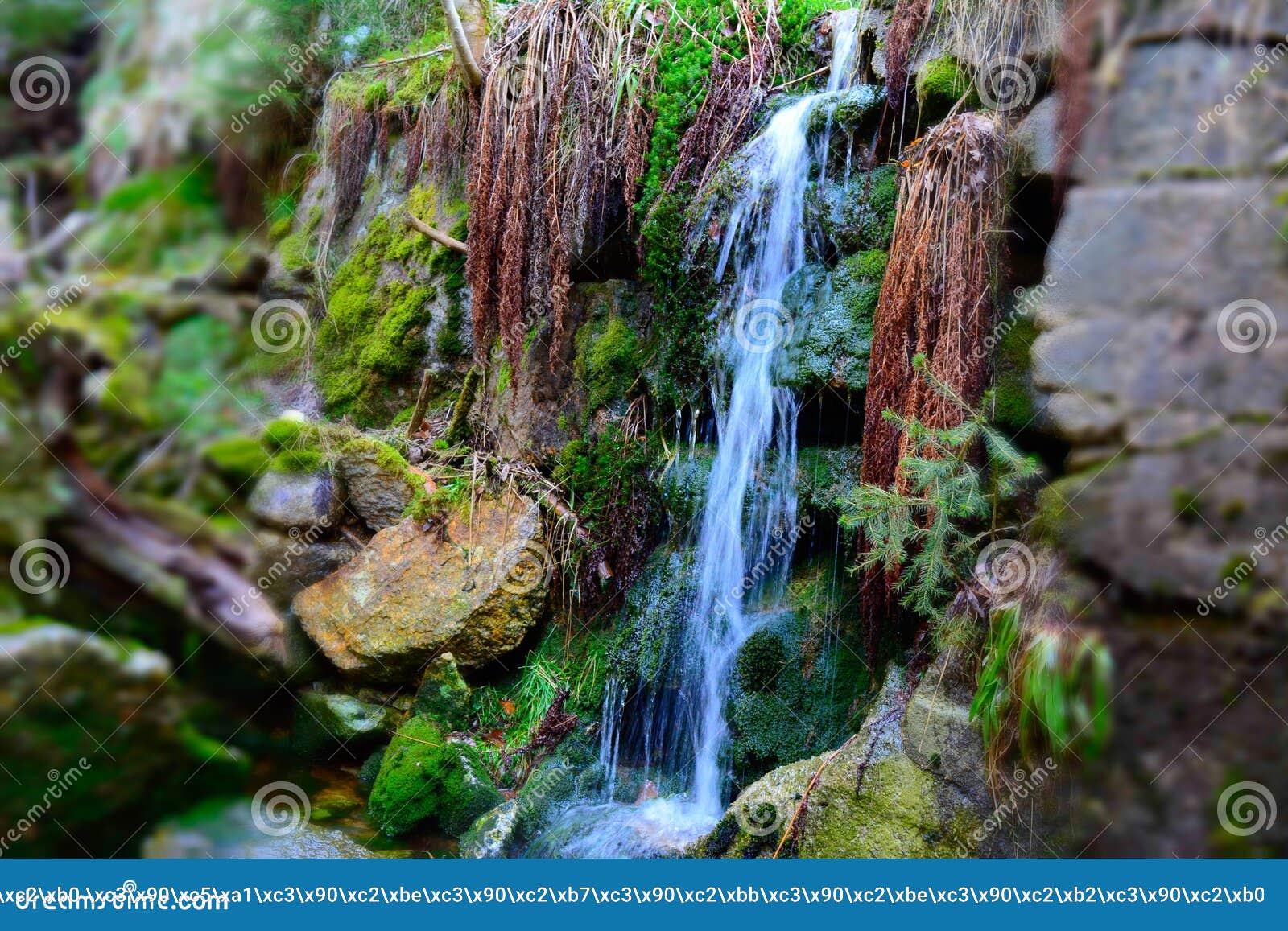 Cascade Falls Over Mossy Rocks Stock Photo Image Of Cascade