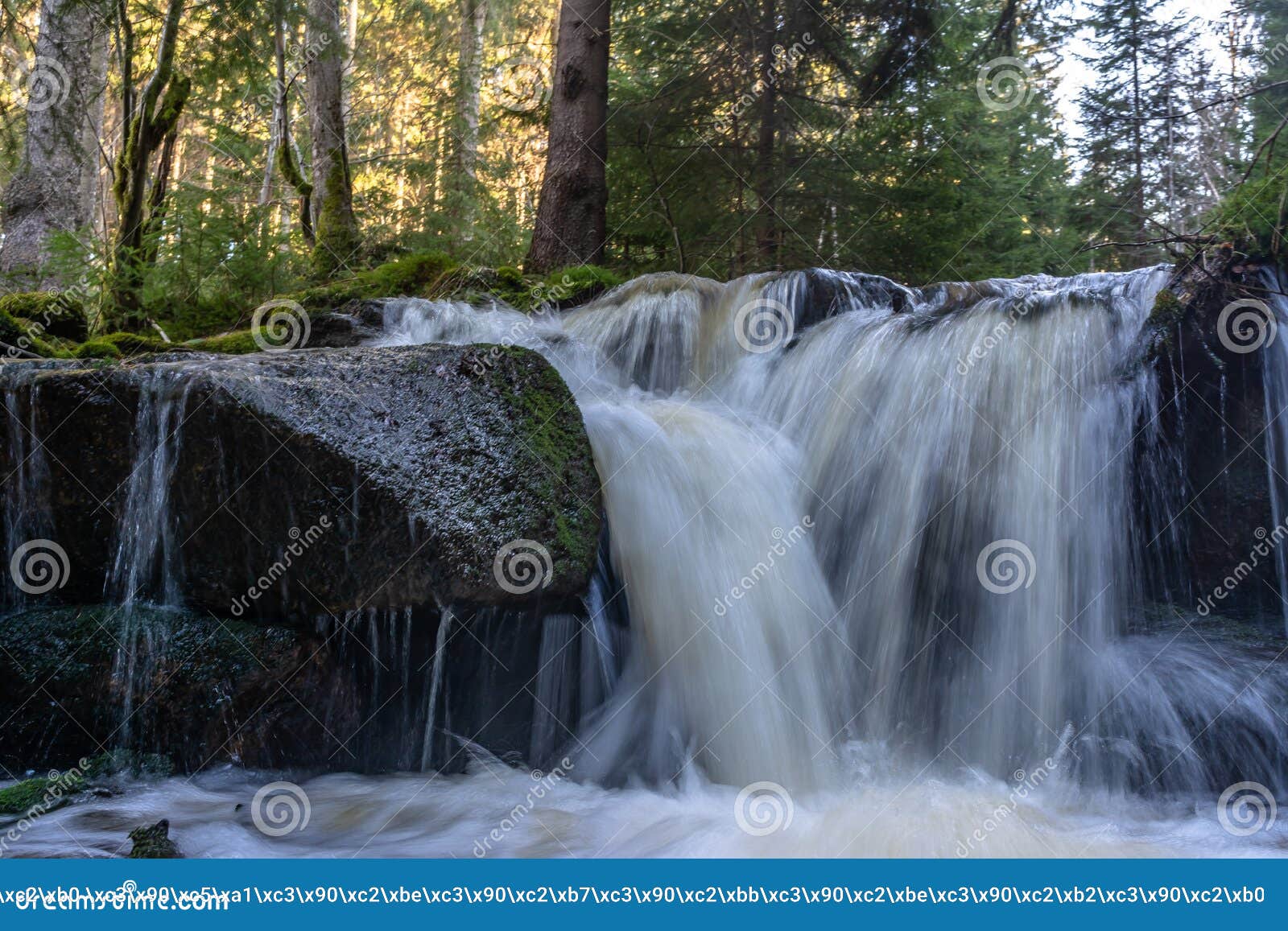 Cascade Falls Over Mossy Rocks Stock Image Image Of Landscape Leaf