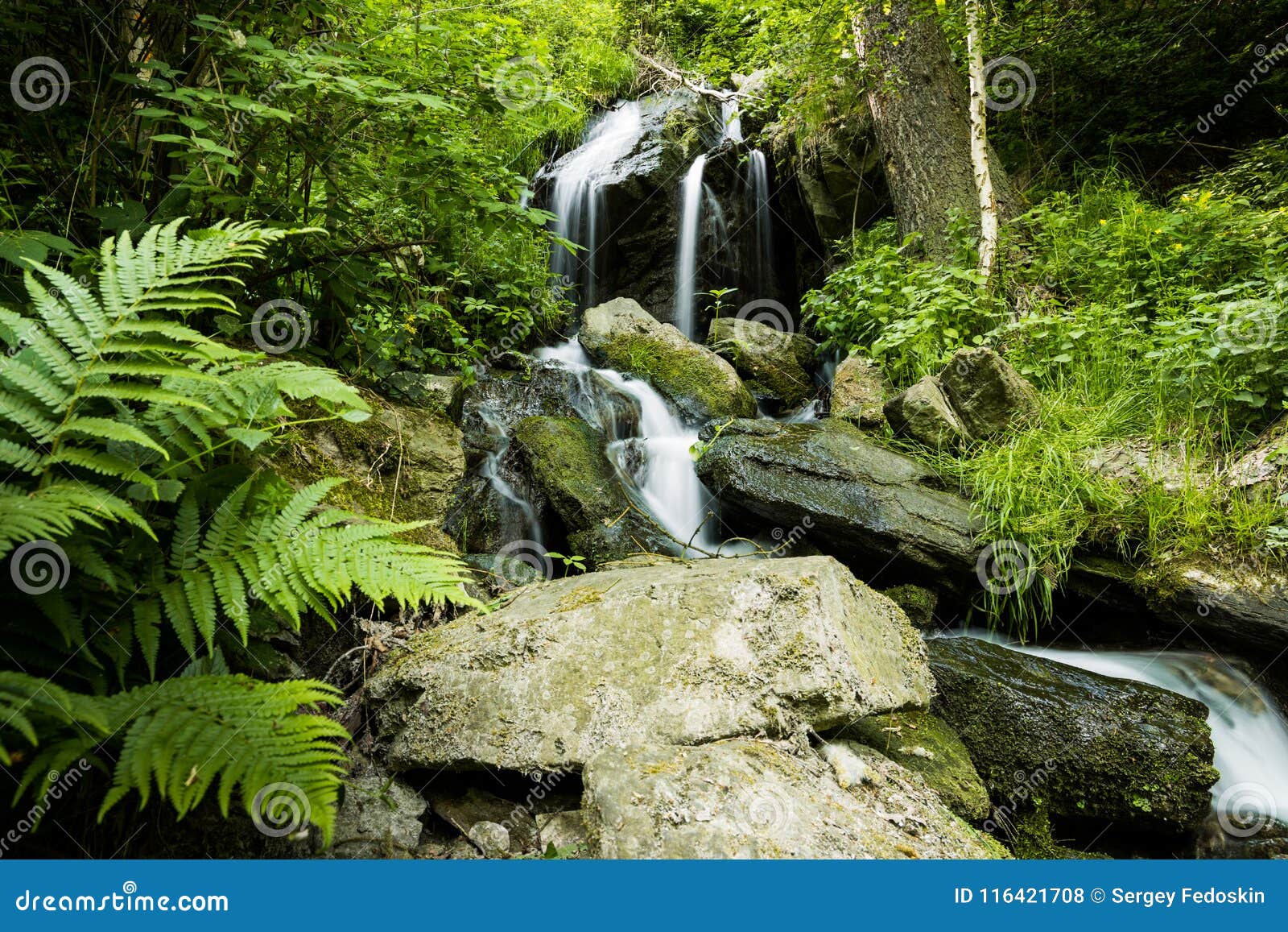 Cascade Falls Over Mossy Rocks Stock Photo Image Of Leaf National