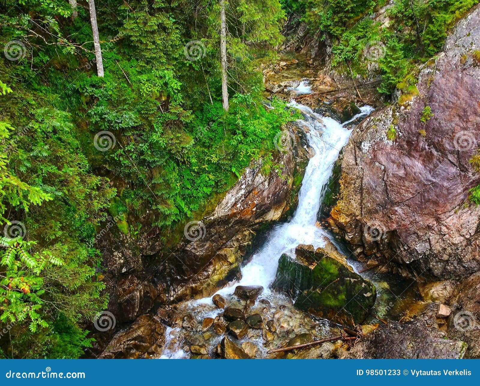 Cascade Falls Over Mossy Rocks Stock Image Image Of River Moss 98501233