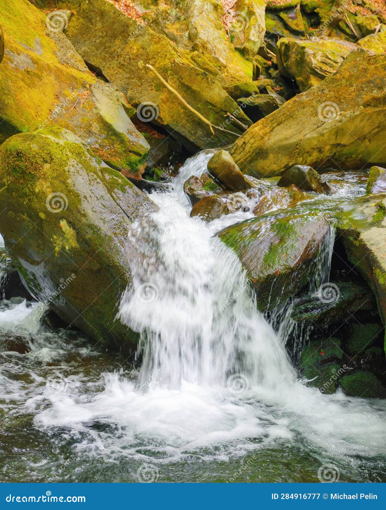 Cascade on the Forest Creek Stock Image Image of natural, wild 284916777