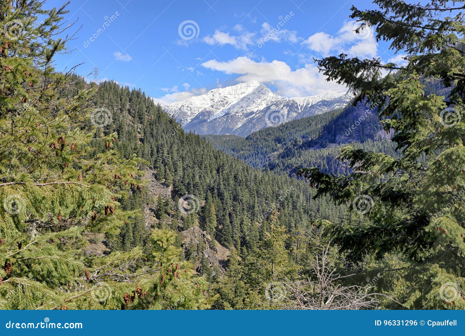 Cascade Mountains stock photo. Image of glacial, tree 96331296