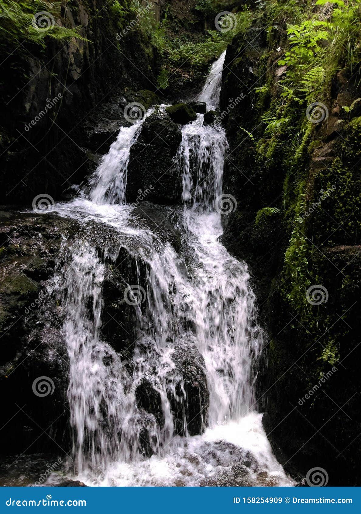 cascade naturelle et sauvage
