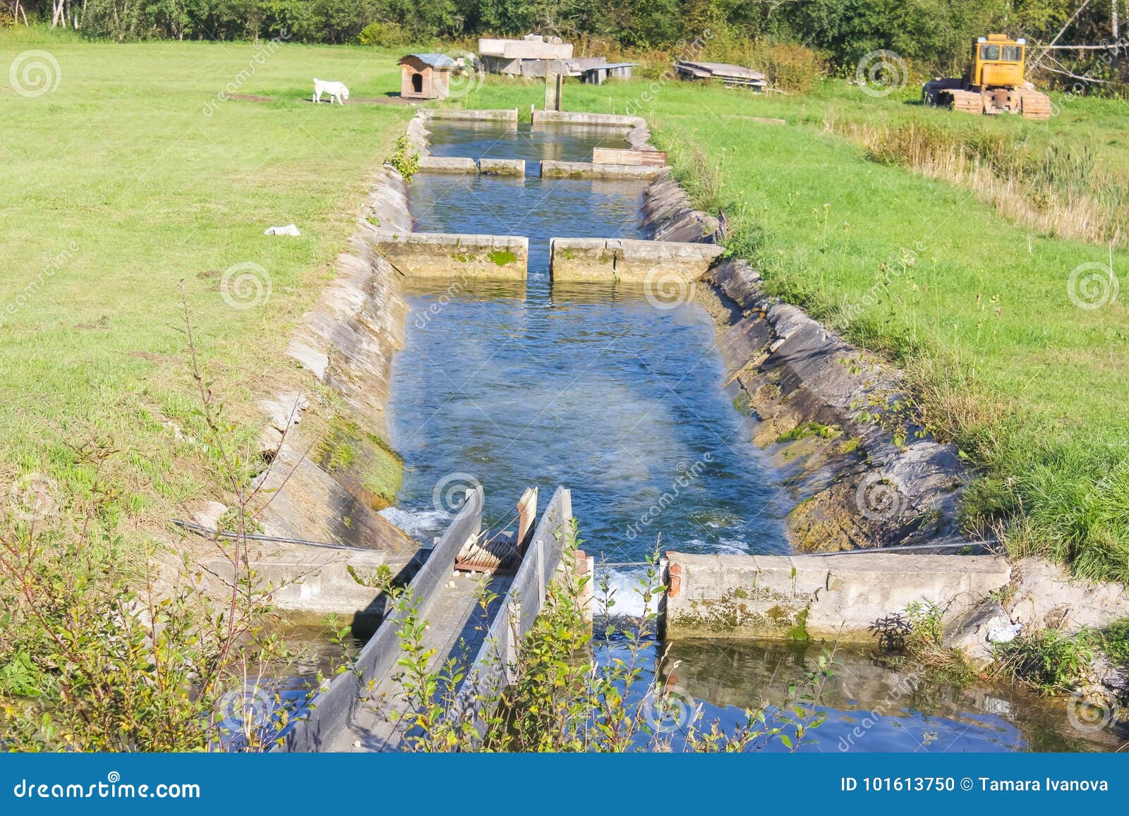 A Cascade of Reservoirs for Fish. Fish, Trout Farm Stock Photo Image