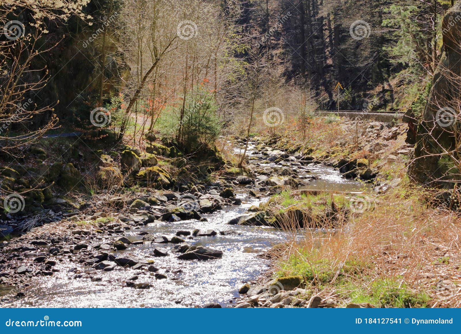 Cascades On A Clear Creek In A Forrest Stock Image Image Of Clear