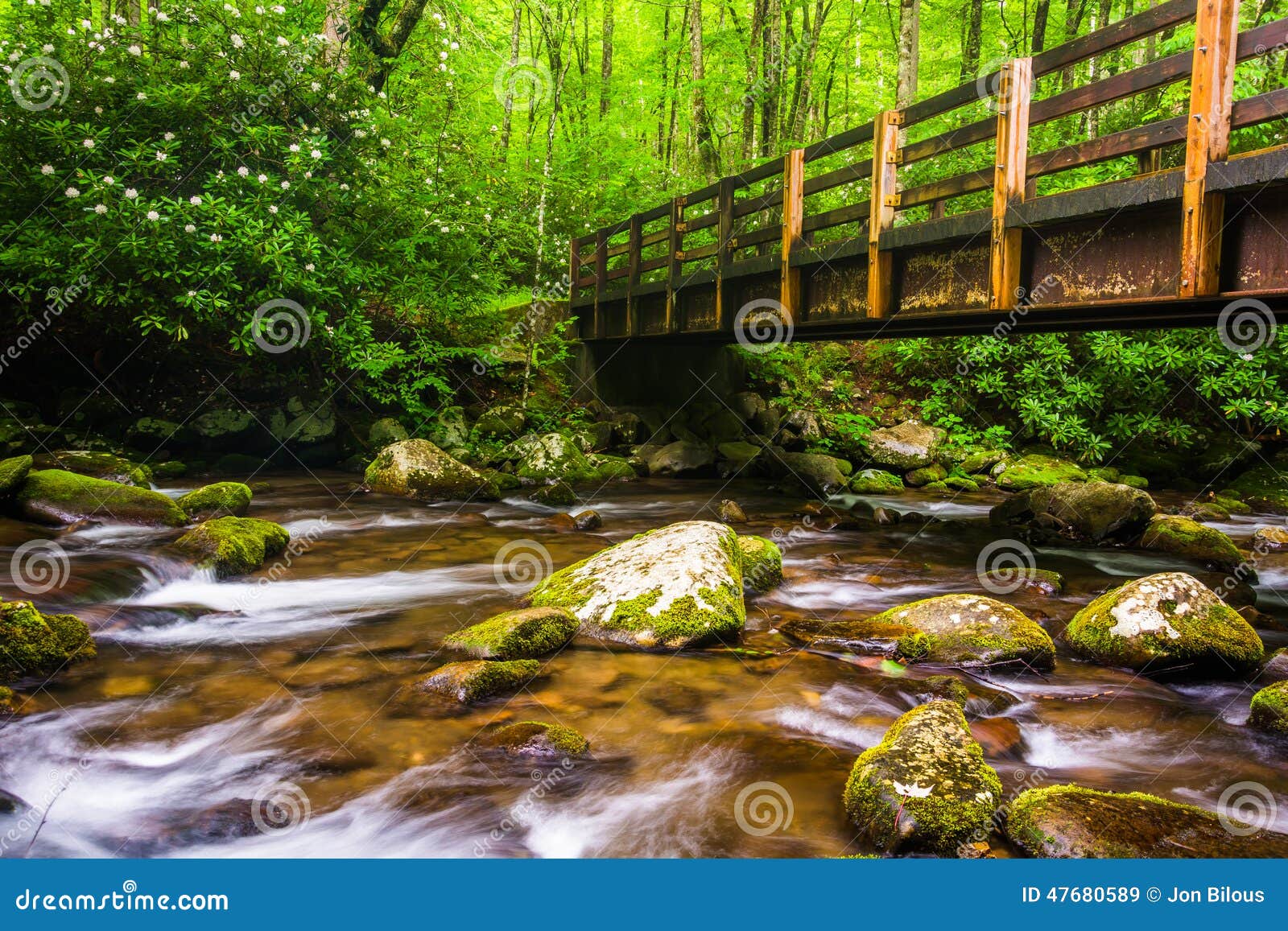 cascades and walking bridge over the oconaluftee river