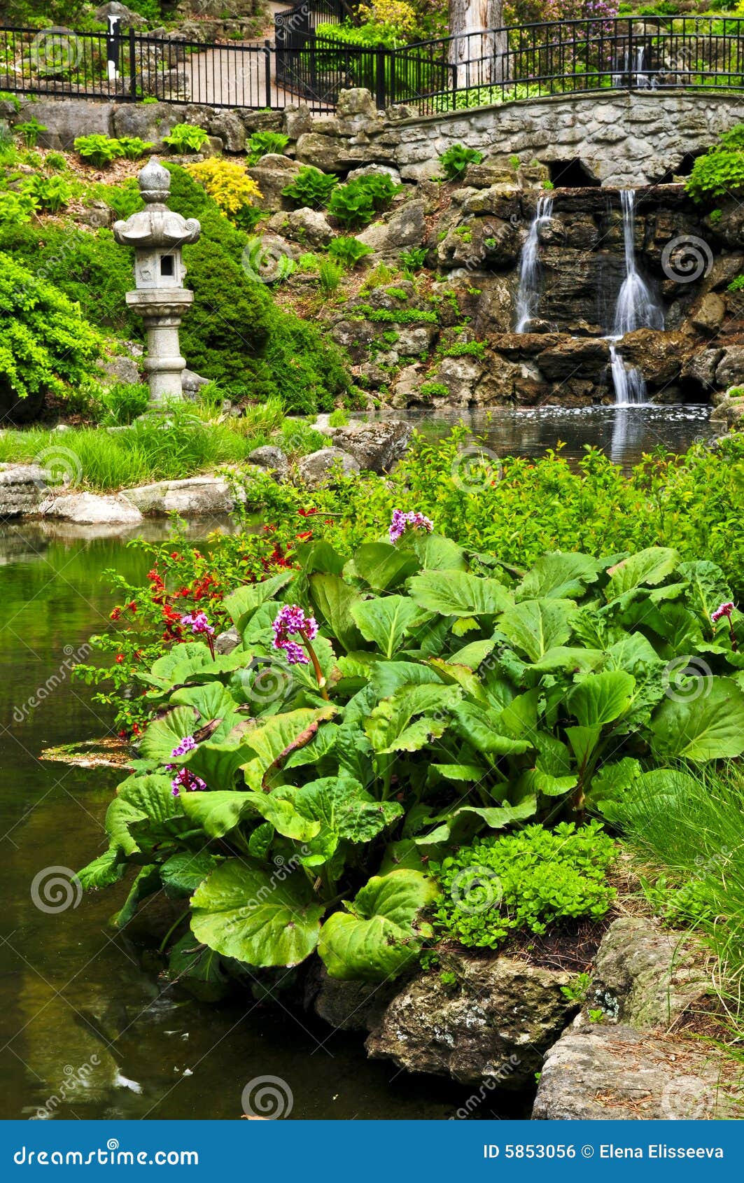 Cascading Waterfall And Pond Stock Photo Image Of Reflection
