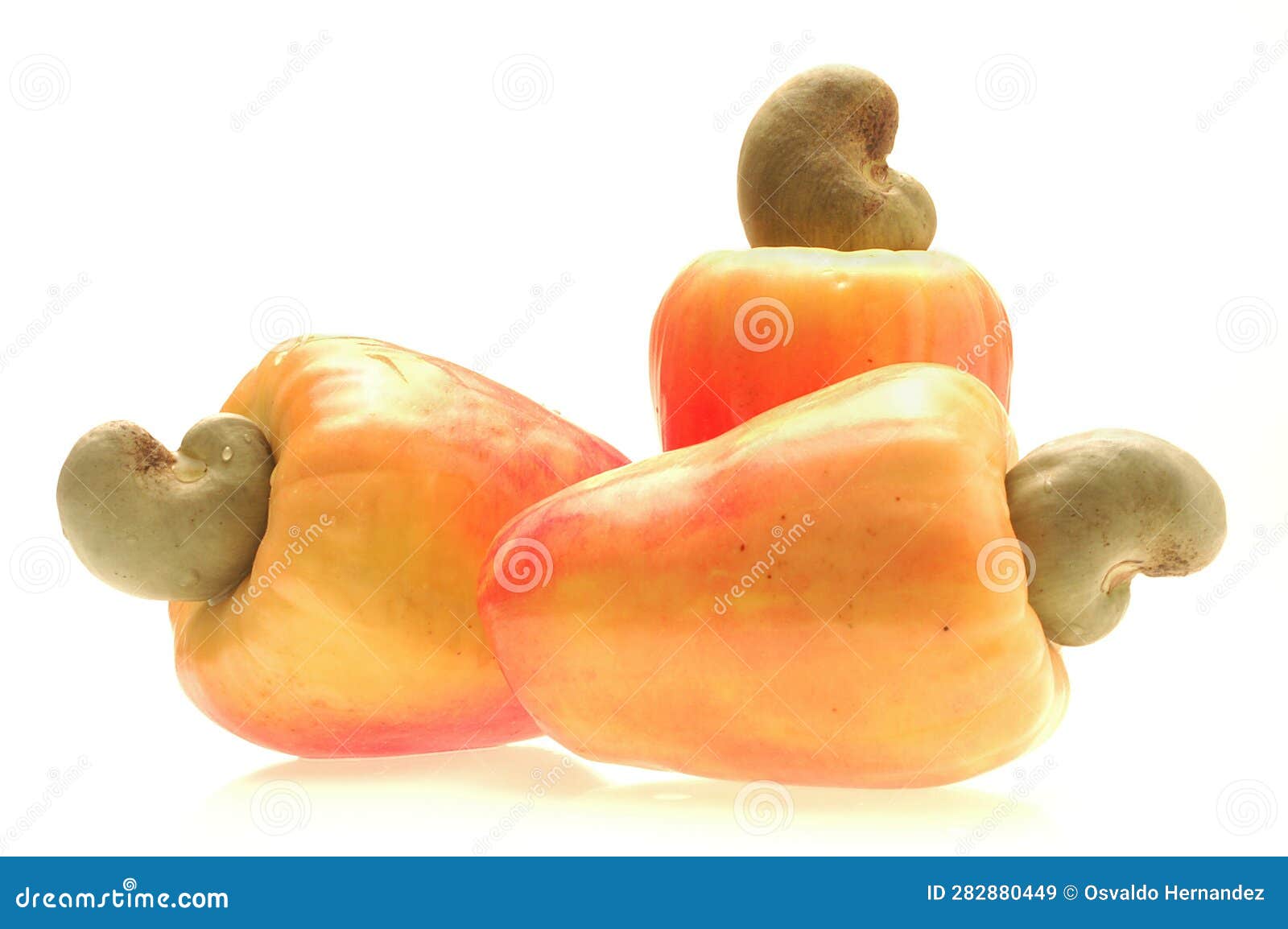 Brazilian Fruit Cashew Fruit and Chestnut Stock Image Image of