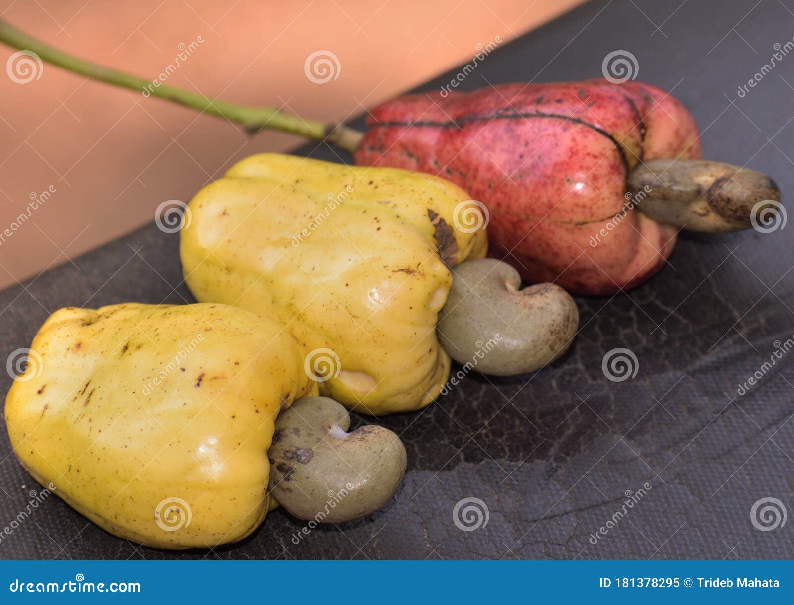 Cashew Fruit or Color Fruit in India Stock Image Image of produce