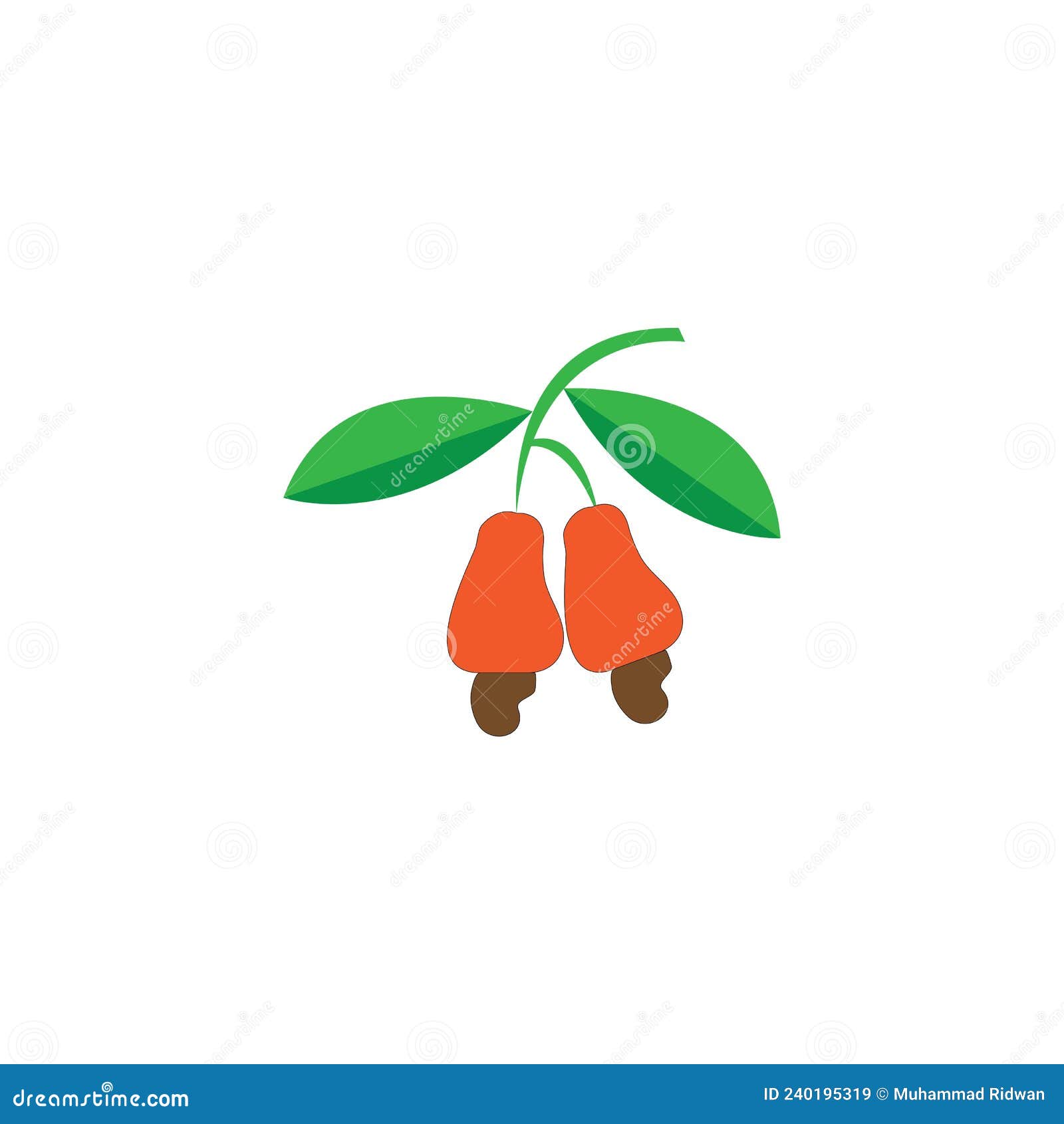 Cashew Fruit Design Illustration Stock Vector Illustration of exotic