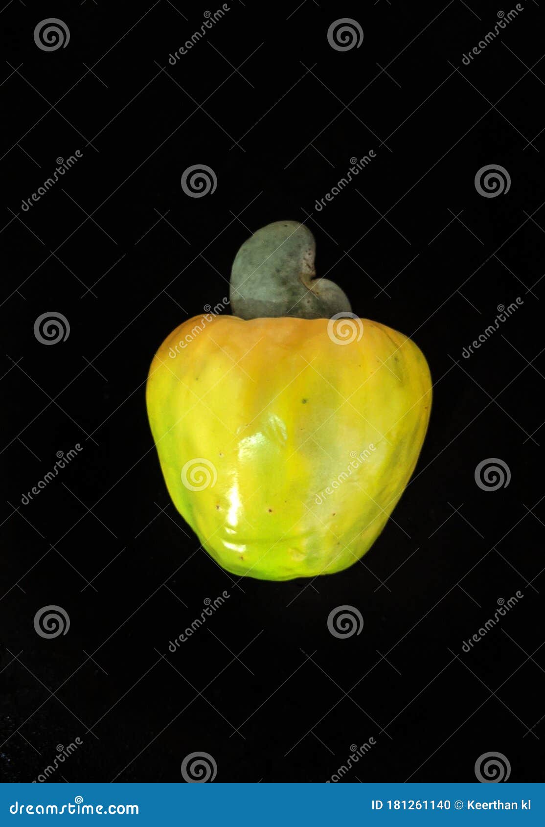 Cashew Fruit Yellow in Colour in the Black Background and with Cashew