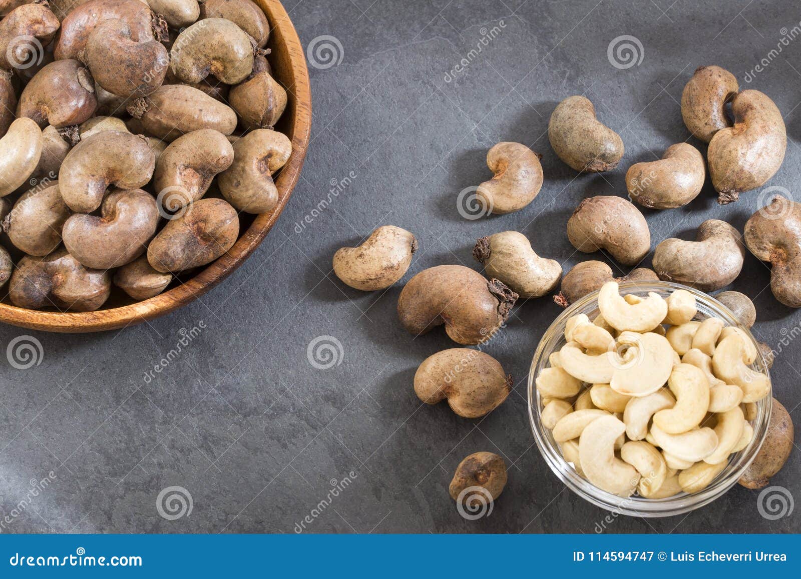 cashew nut - anacardium occidentale