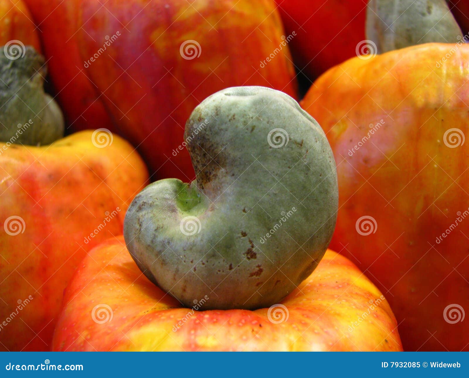 Cashew nut and fruit stock image. Image of appetizers 7932085