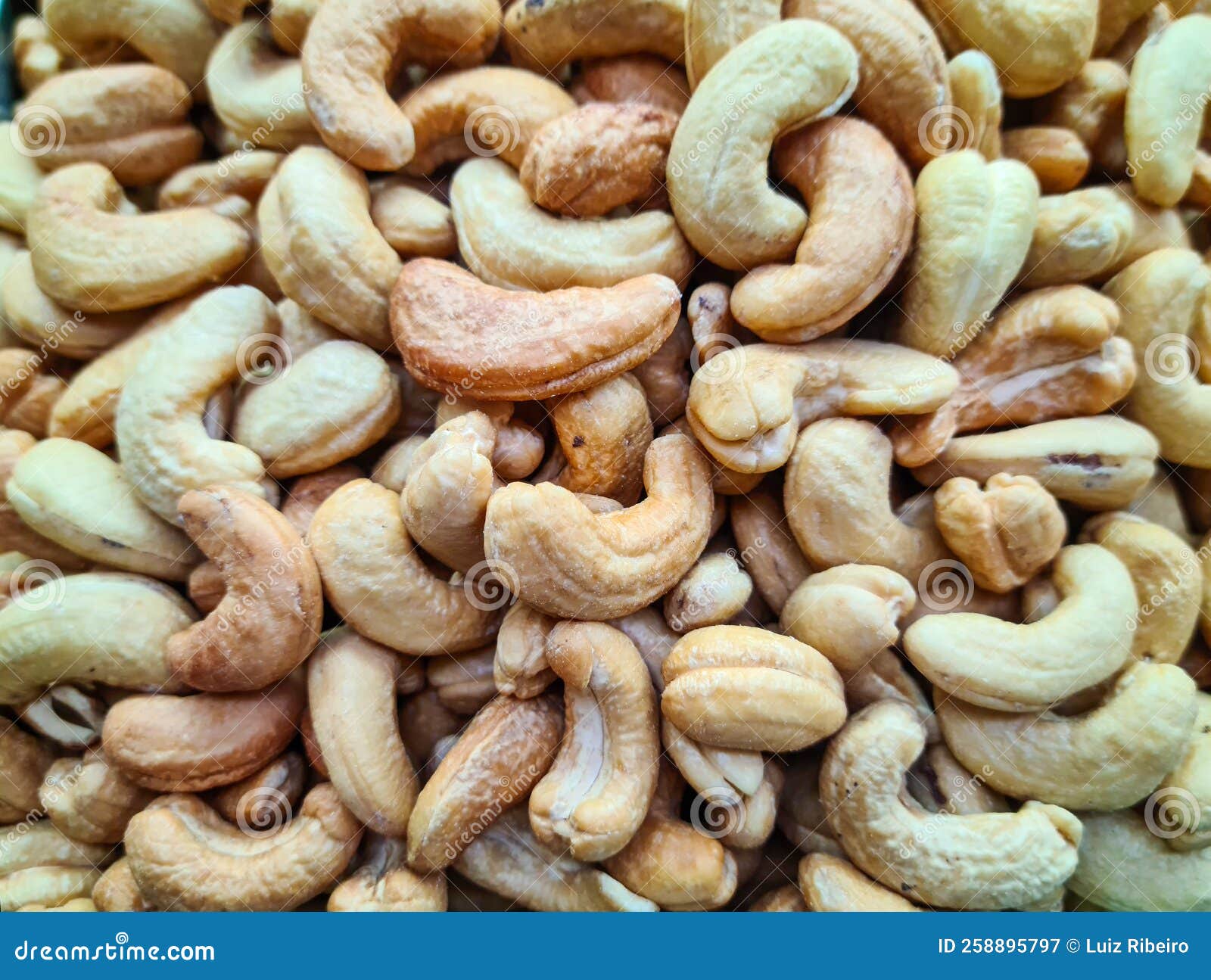 The Cashew Nut is the Fruit of the Cashew Tree Stock Image Image of