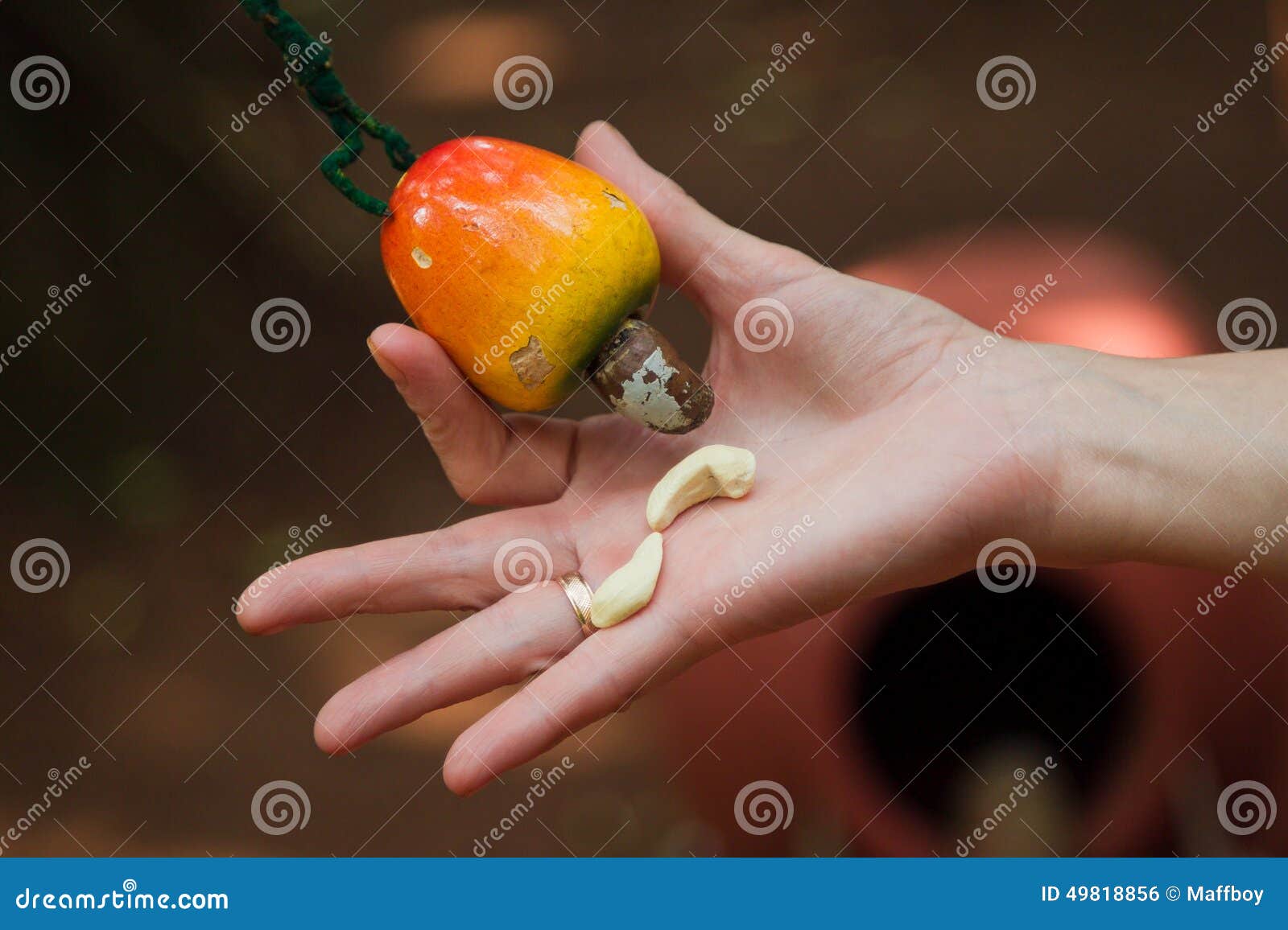 Download Cashew Nut And Fruit Stock Photo Image Of Calories India 49818856