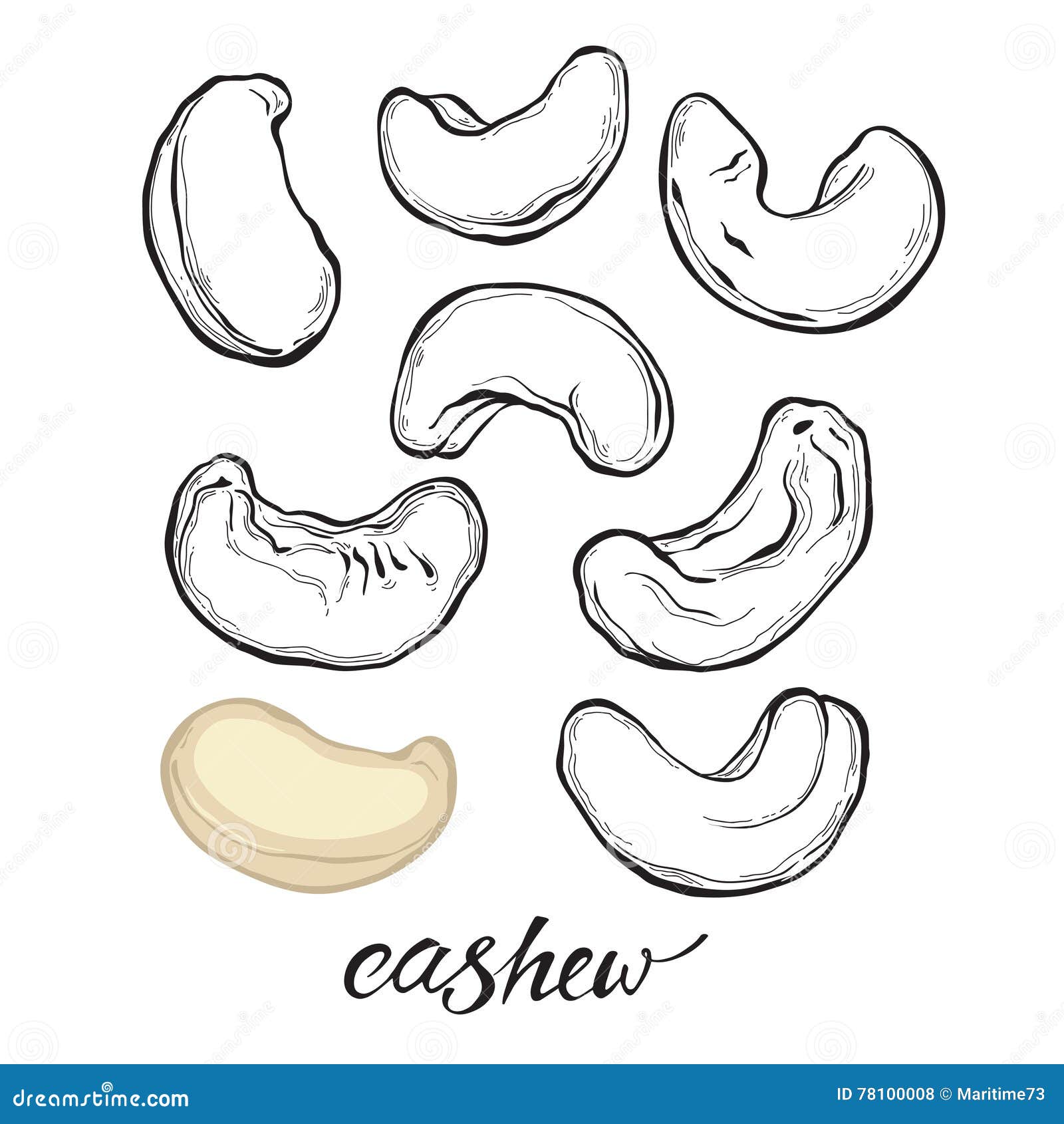 Cashew 1 4 Download Free