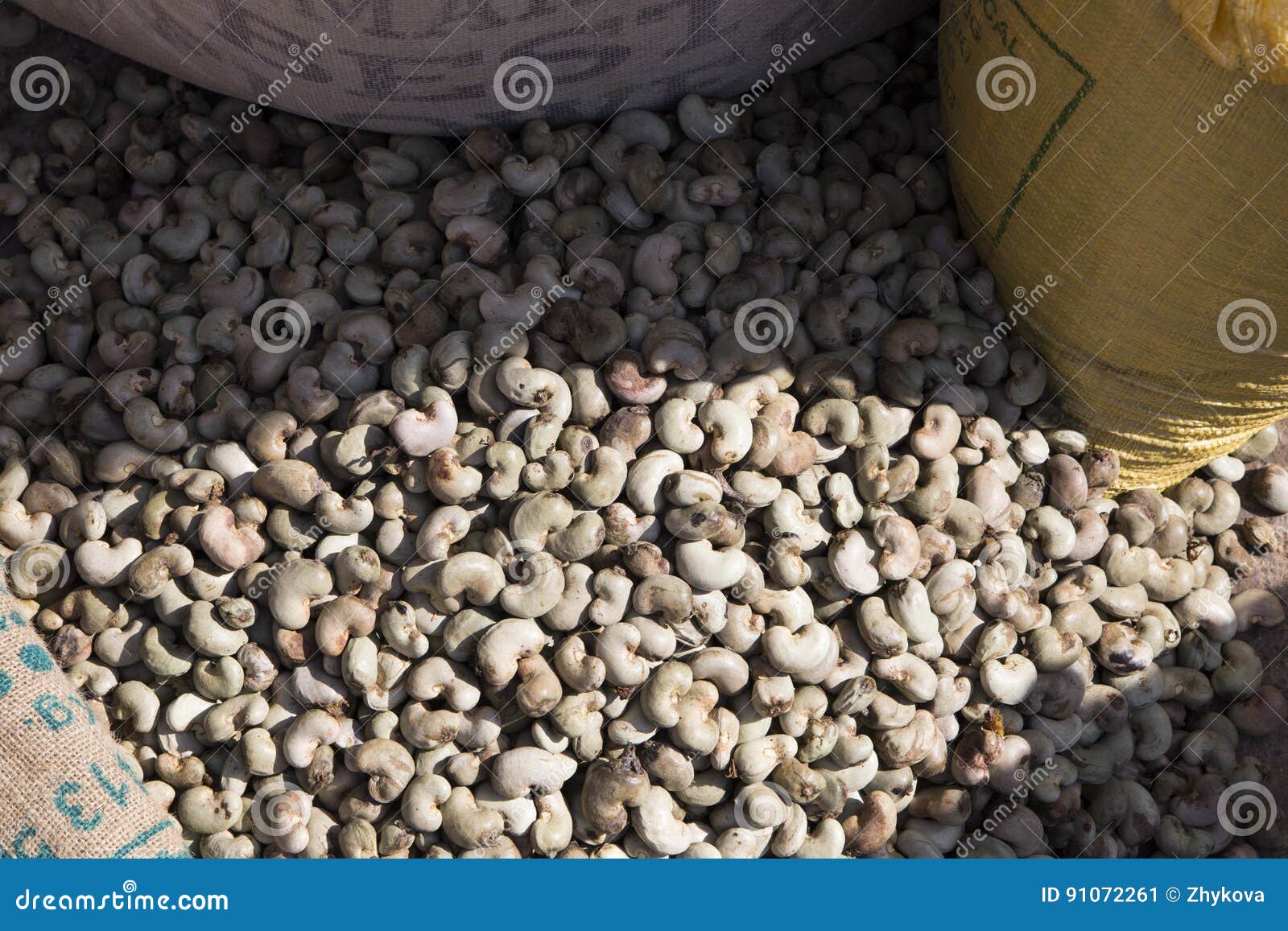 Cashew Nuts are the Most Expensive Peanuts in the World Stock Image