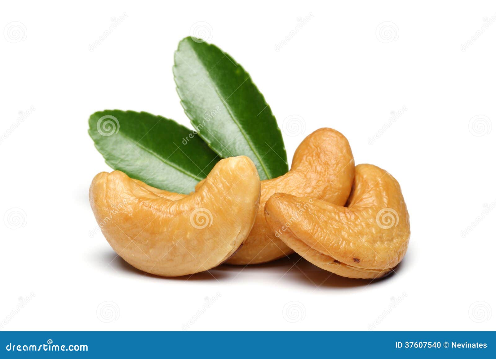 cashews and leaves