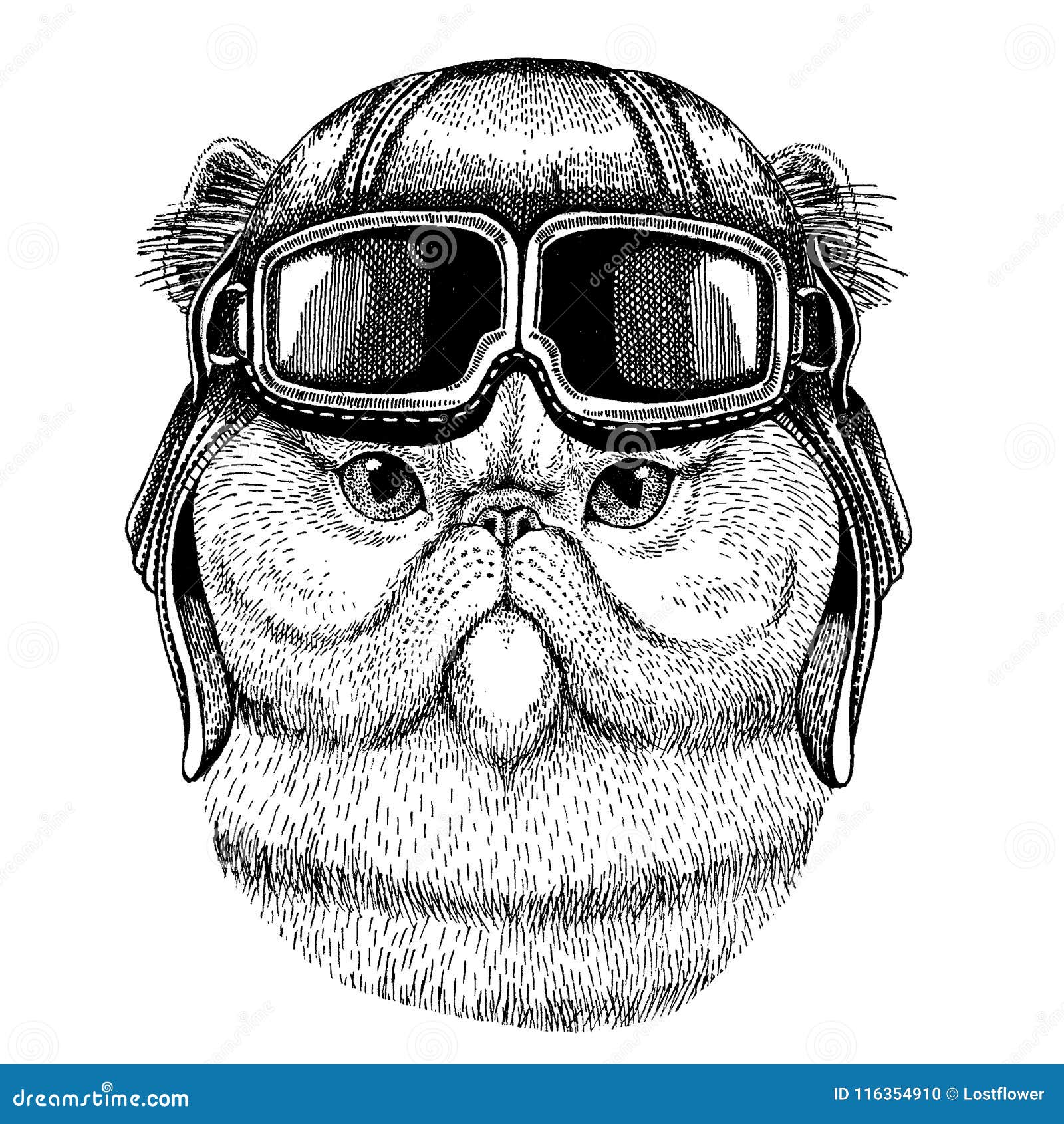 Casque De Port Animal D Aviateur Avec Des Verres Illustration De Vecteur Image Dessinee Par Fuzzy Hand Mignonne De Chat Persan Po Illustration De Vecteur Illustration Du Chat Club Casque De Port Animal D Aviateur Avec Des Verres Illustration De Vecteur Image Dessinee Par Fuzzy Hand Mignonne De Chat Persan Po Illustration De Vecteur Illustration Du Chat Club