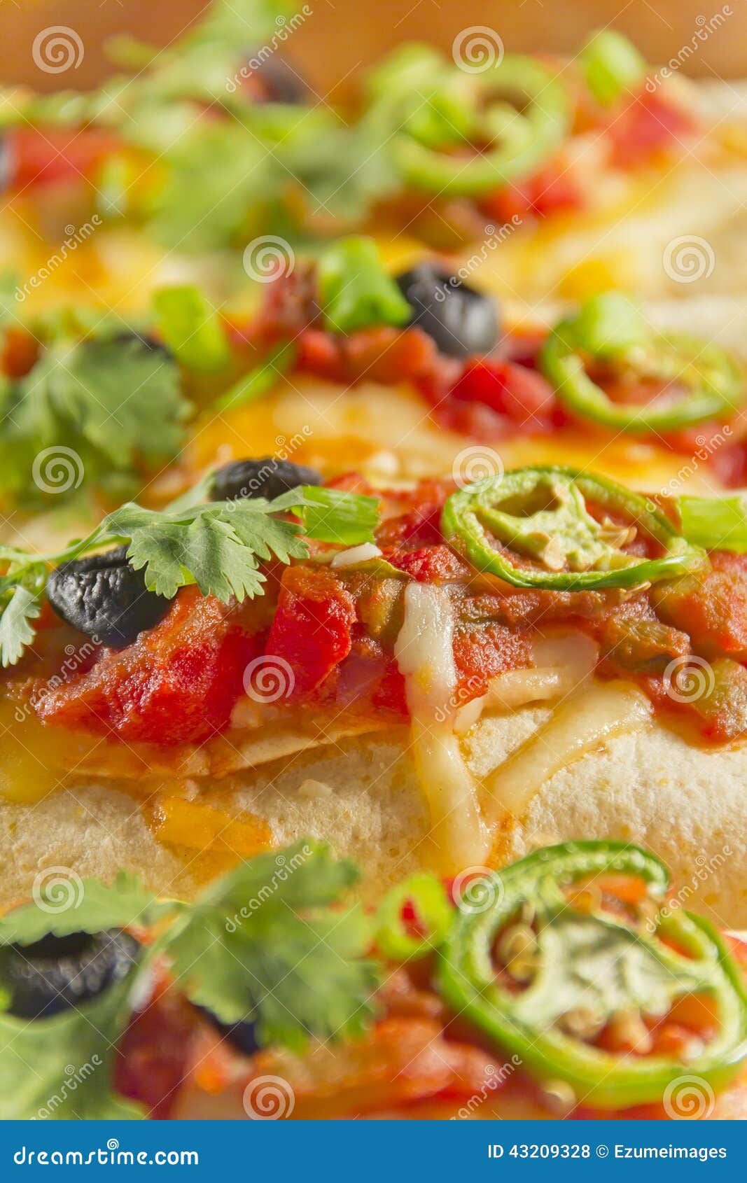 Casseruola del Enchilada. Enchiladas messicani fatti domestici deliziosi in un piatto della casseruola