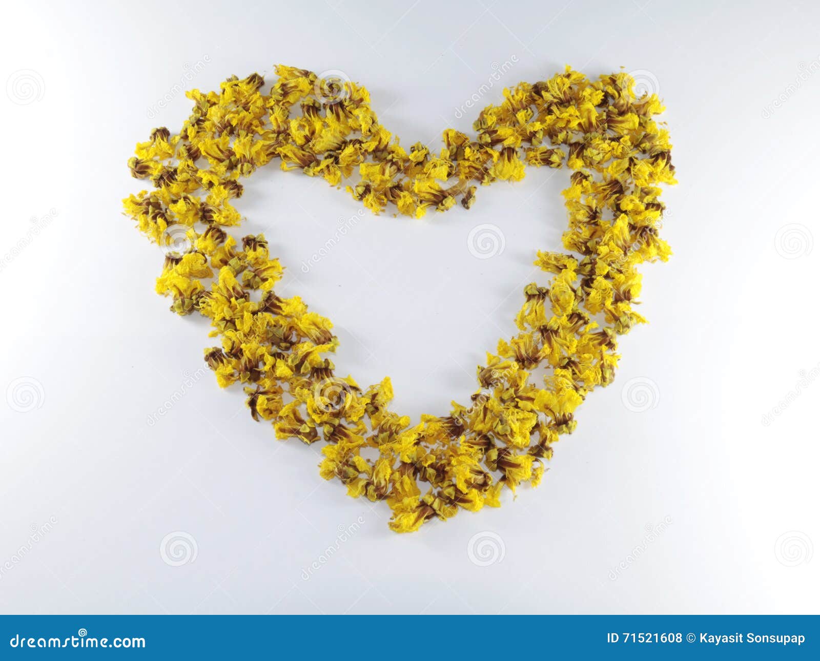 Cassia flower Heart stock photo. Image of natural, golden 71521608
