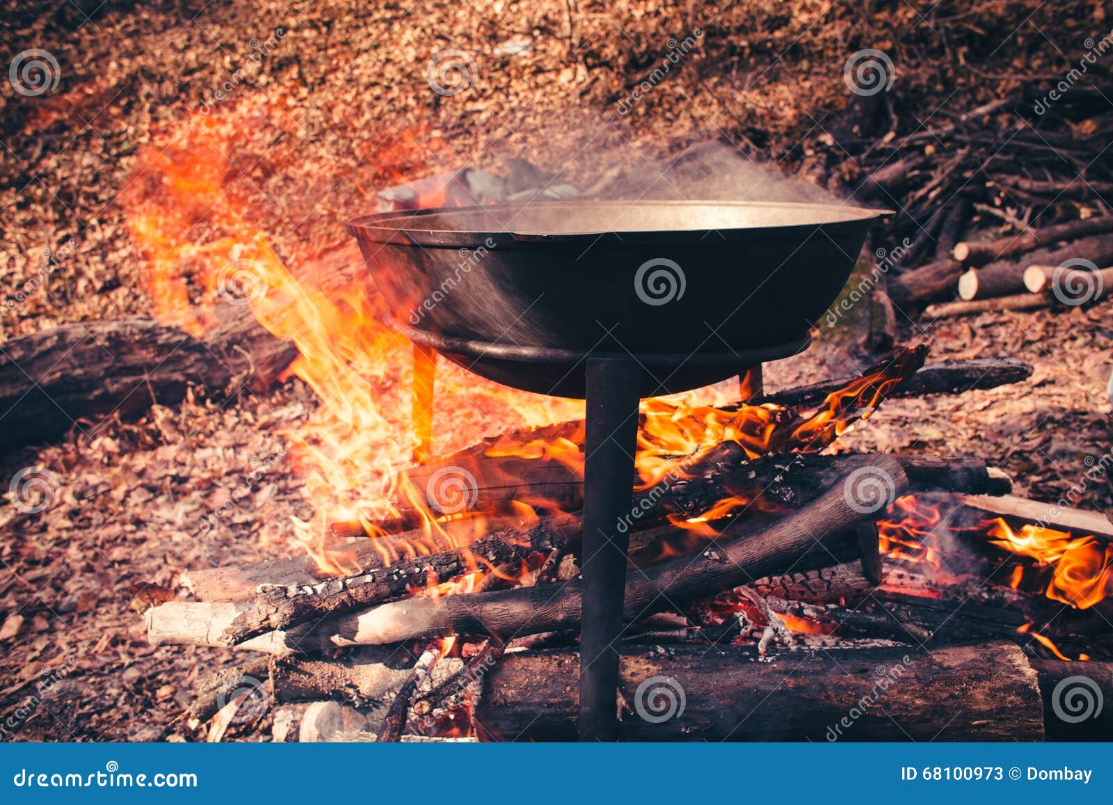 Cast Iron Pot Outdoors, Cooking on a Fire. Stock Image Image of fire