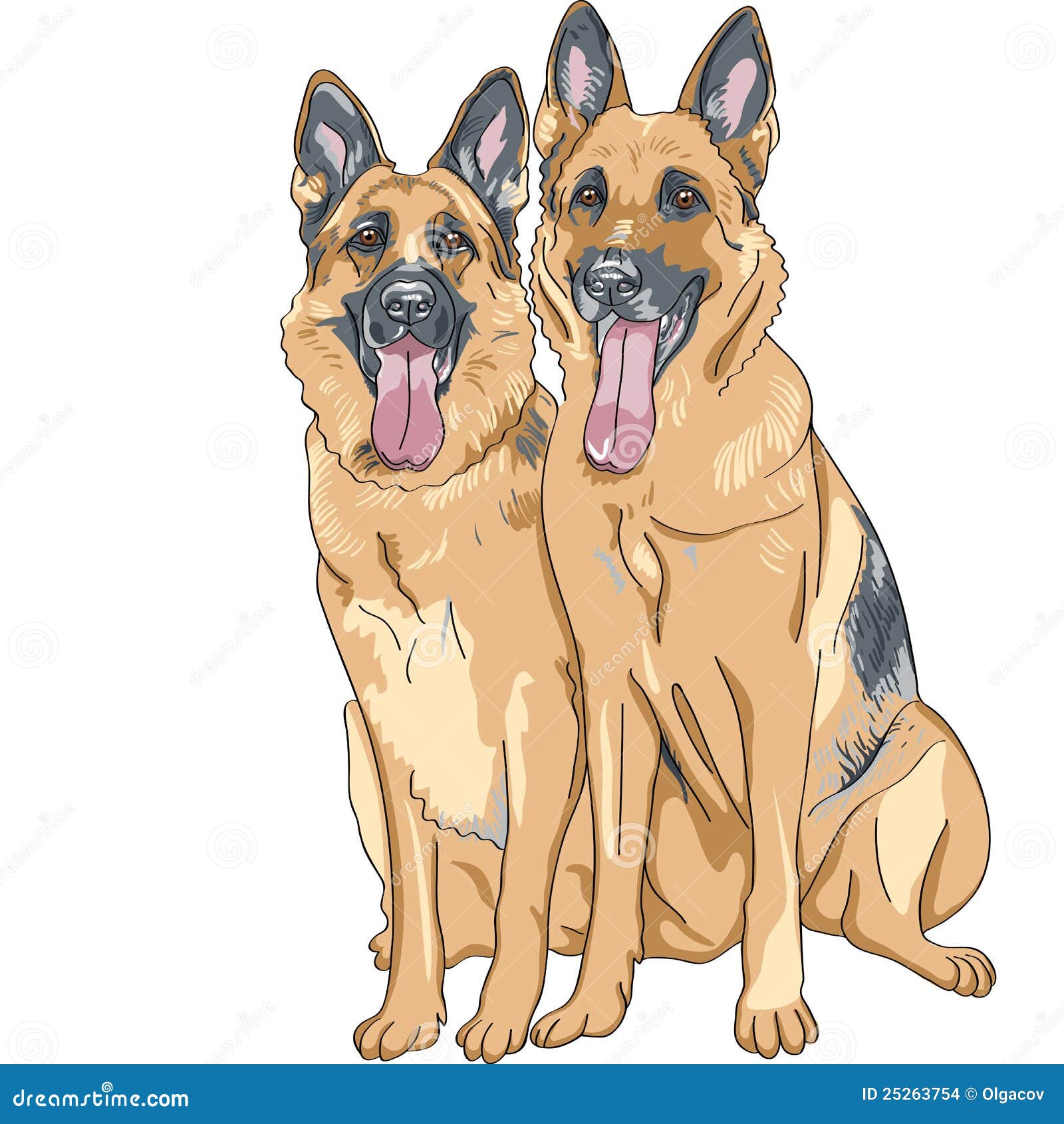 Vector Dos Perros De Raza Pastor Alemán Ilustración del Vector -  Ilustración de thoroughbred, sonrisa: 25263754, image size:1600x1690