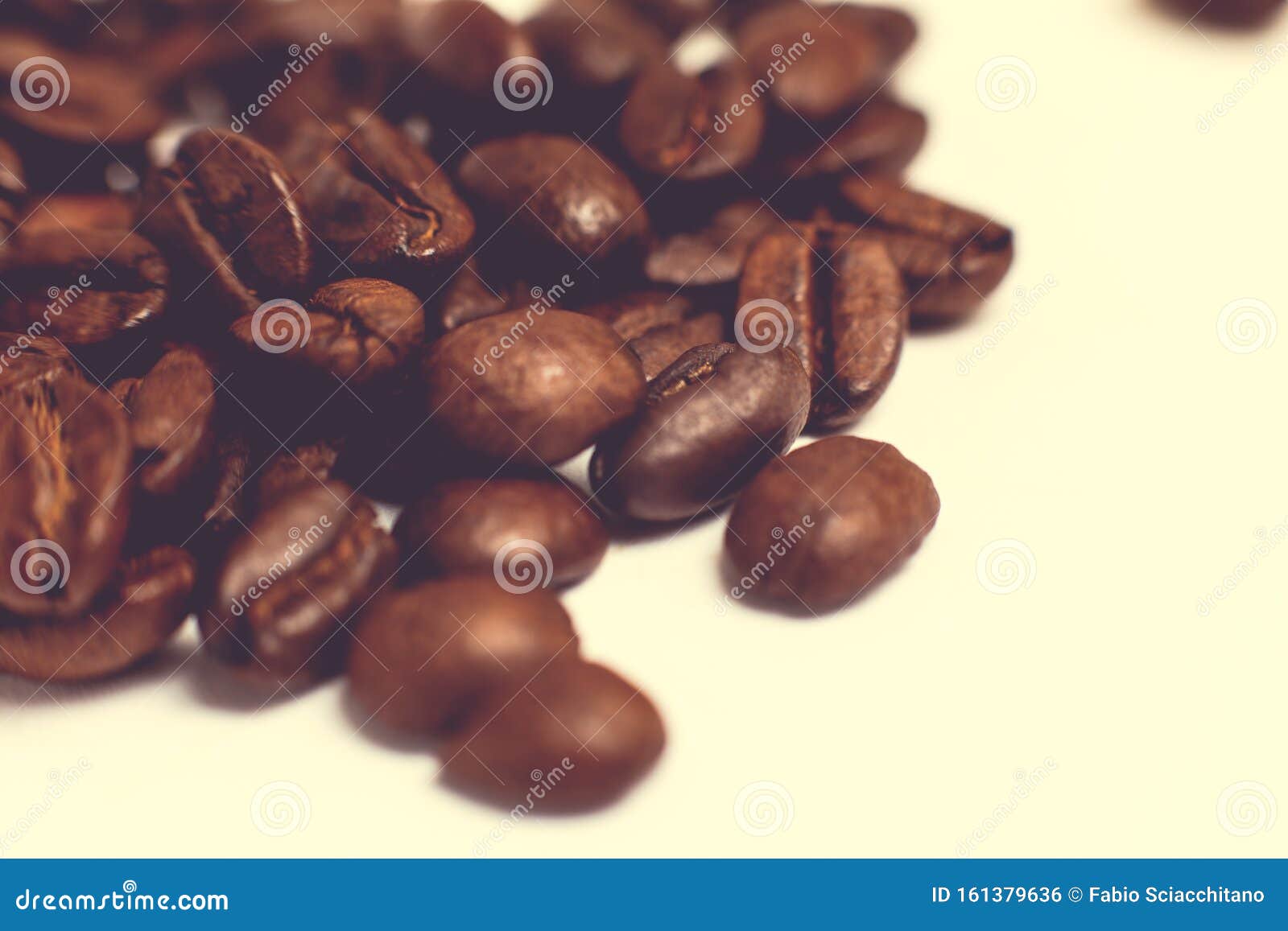 castagne halloween vintage still life