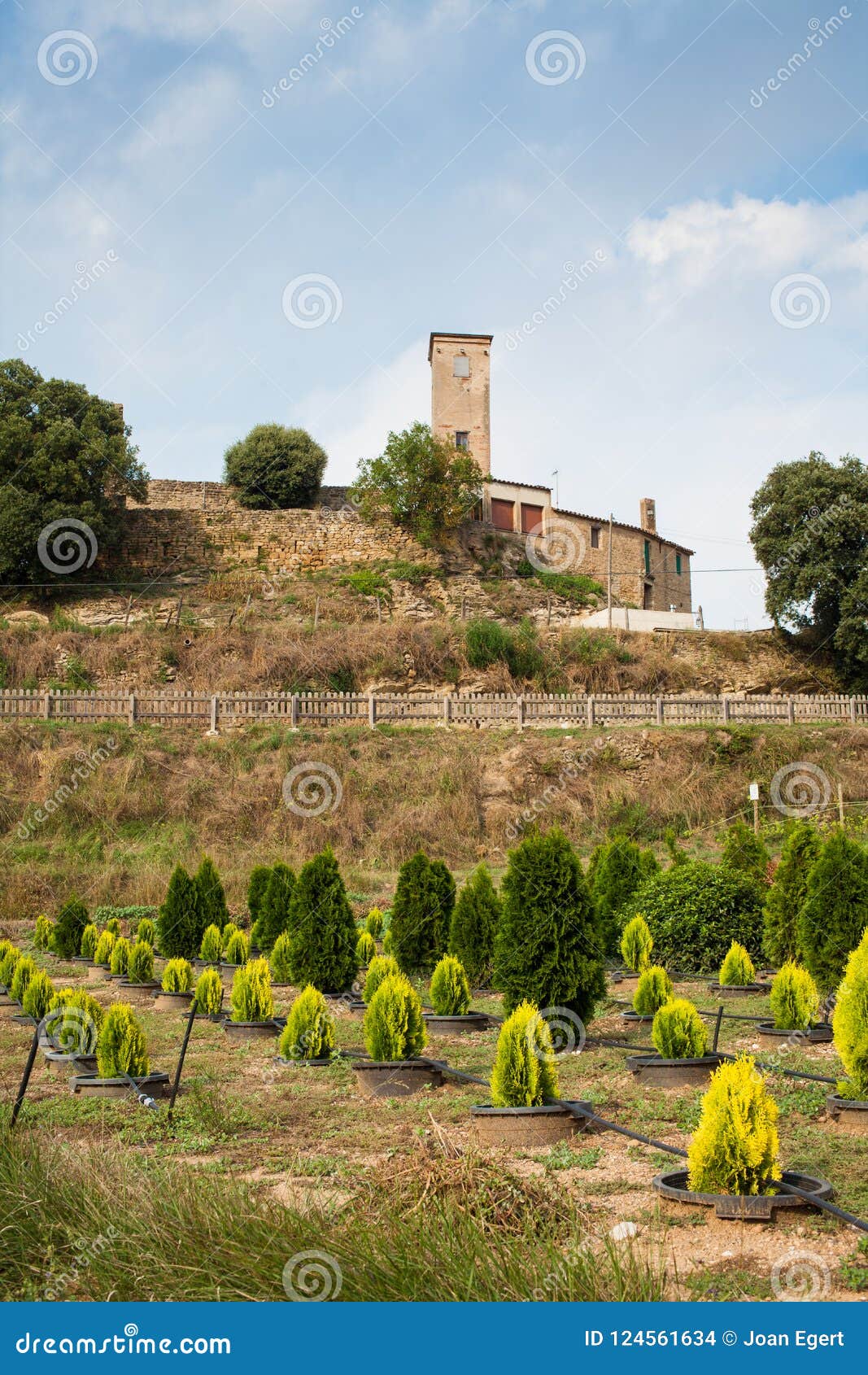 castle of sant miquel at castellterÃÂ§ol town