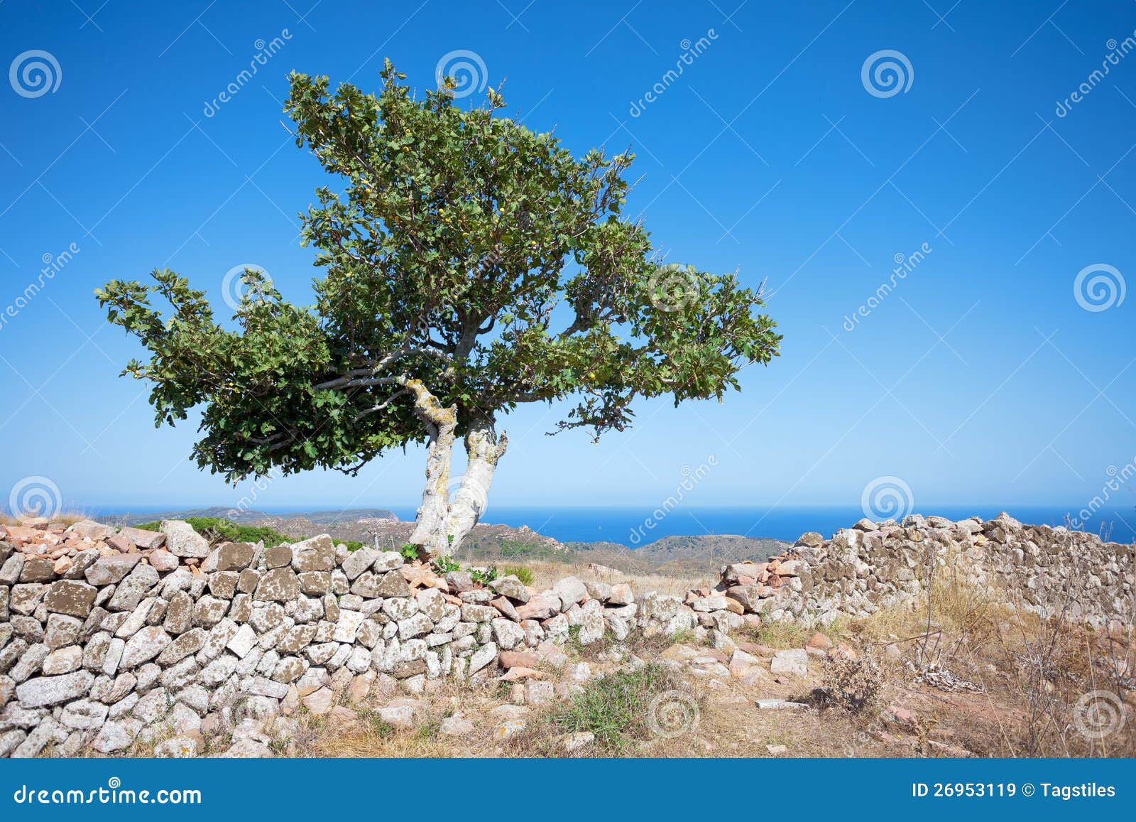 castell de santa agueda