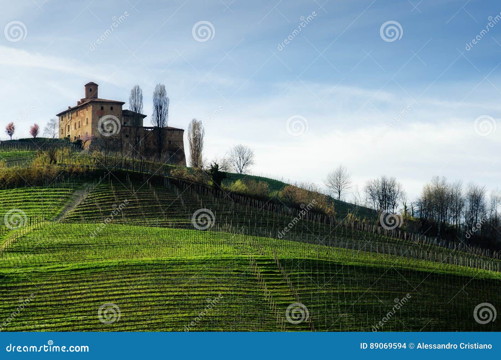 castello della volta and vineyards barolo, italy