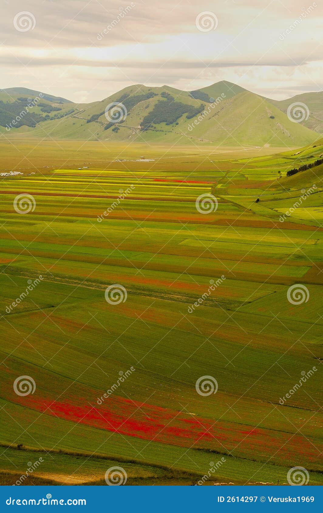 castelluccio di norcia