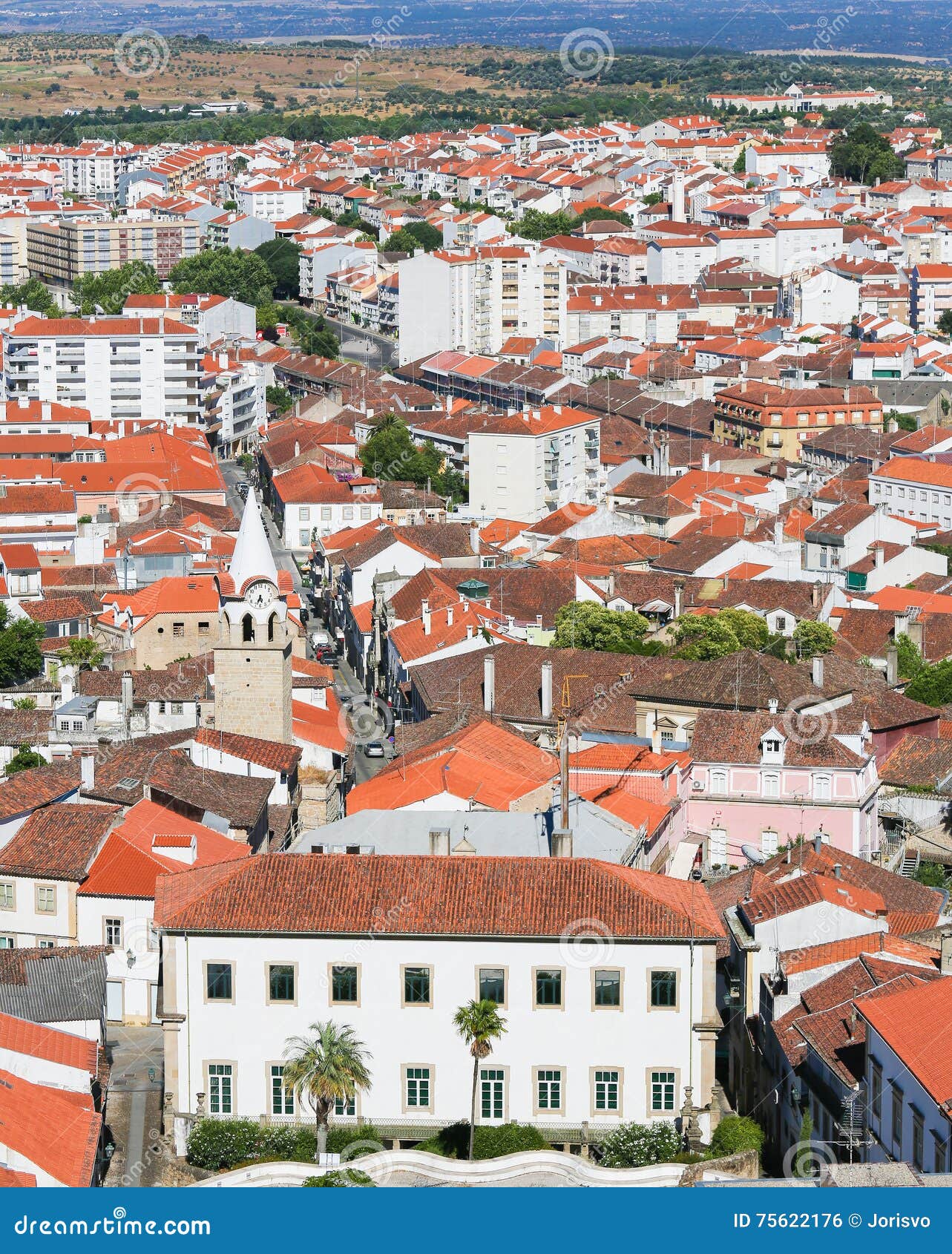 castelo branco, centro region, portugal