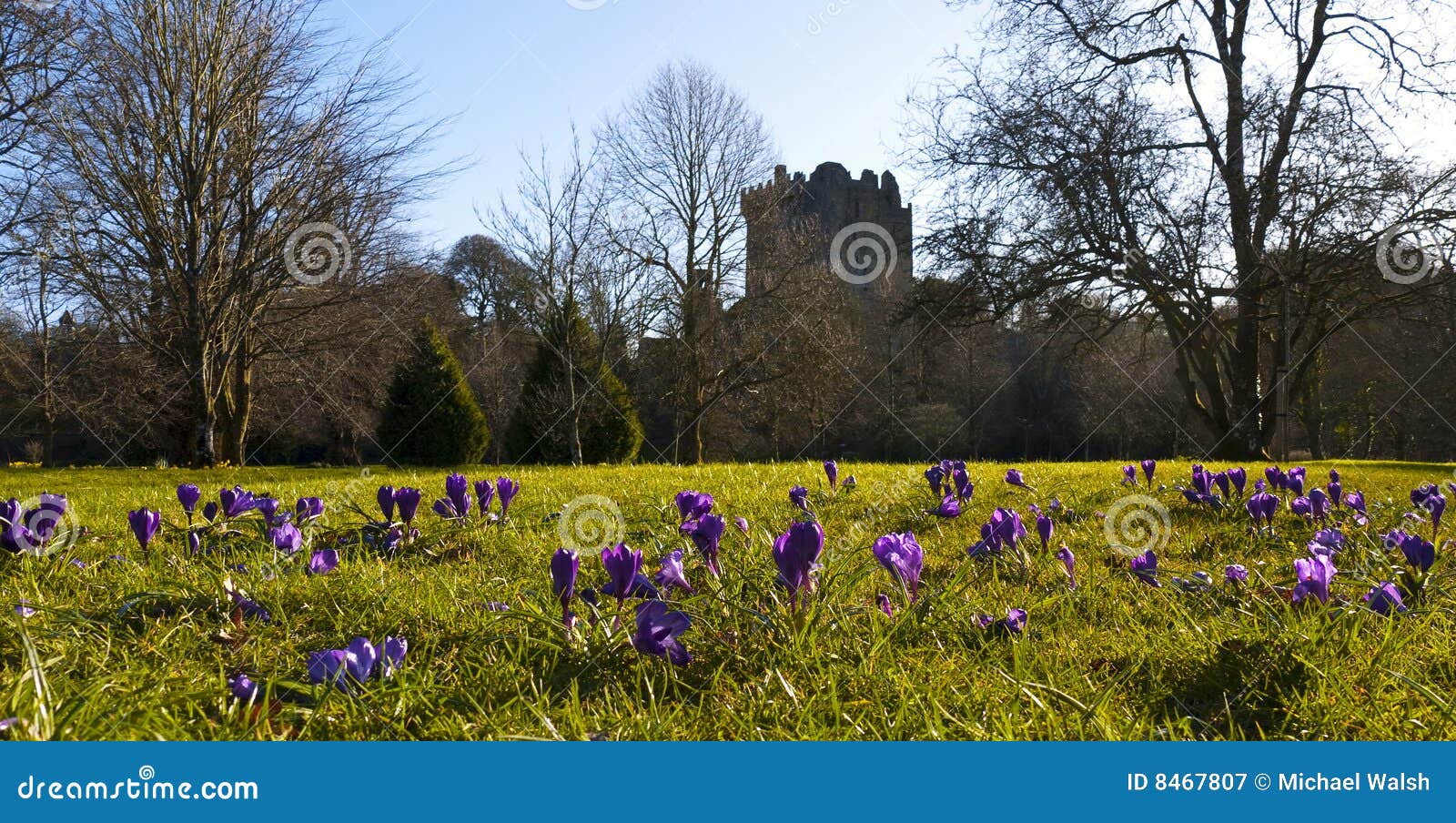 Castelo do Blarney, Co.Cork, Ireland, HOME da pedra de Blarney mundialmente famosa