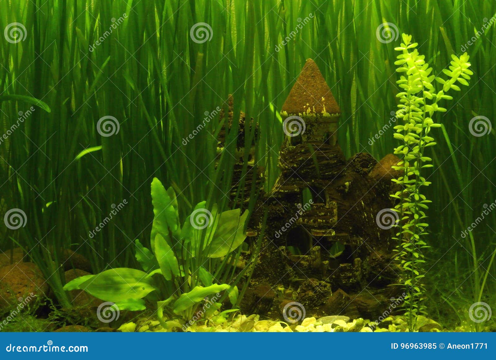 Castle in the aquarium stock image. Image of green, home 96963985