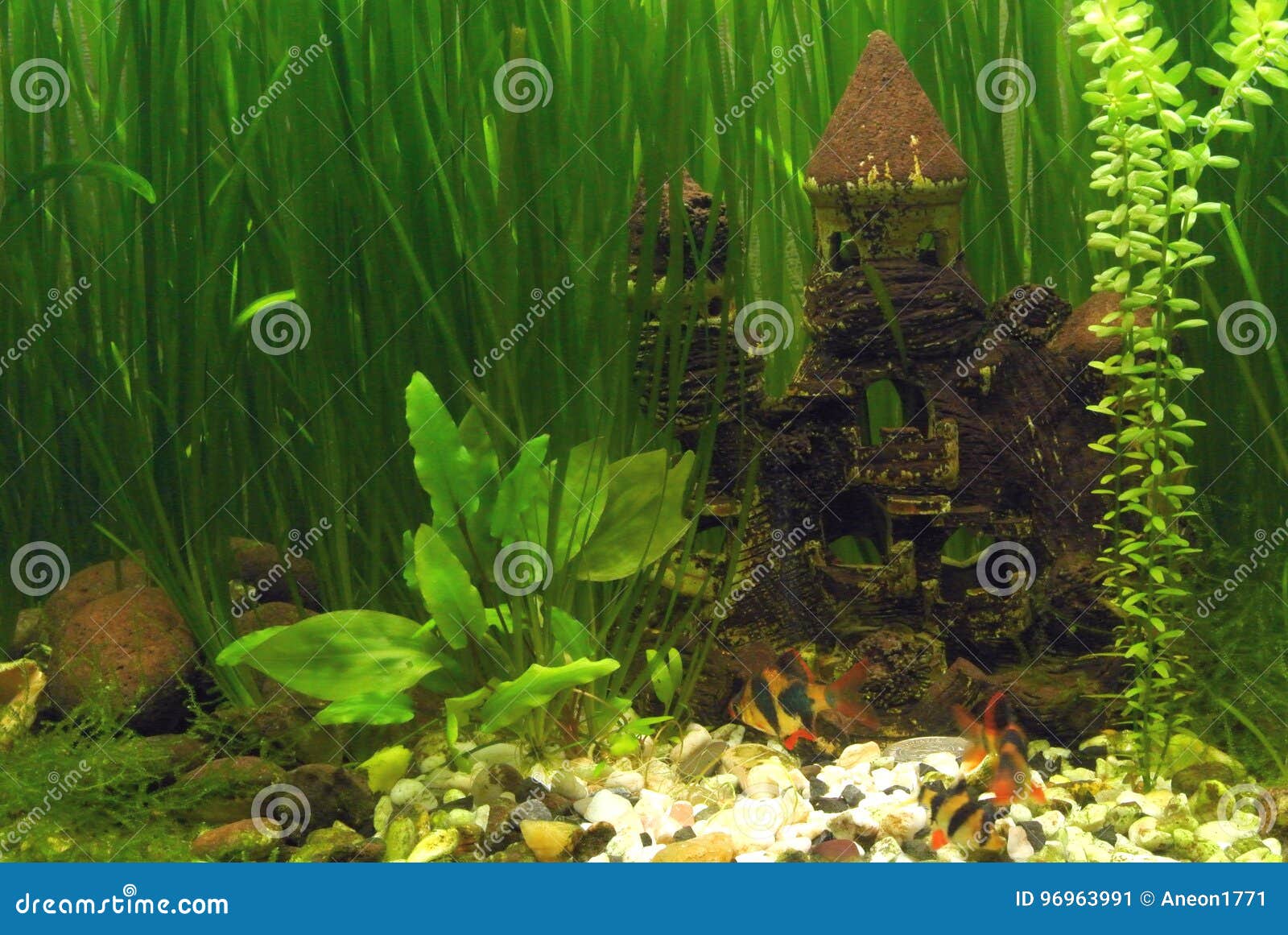 Castle in the aquarium stock image. Image of shells, castle 96963991