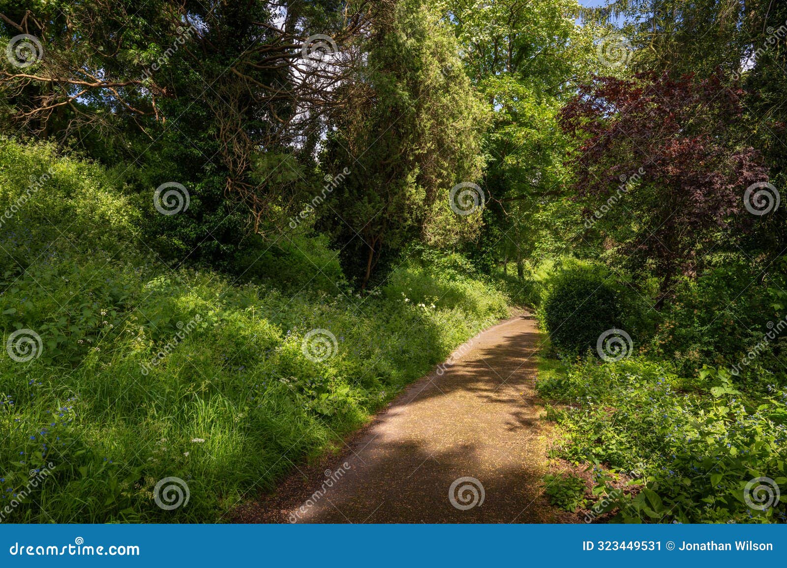 castle grounds, a public park in reigate, surrey, uk