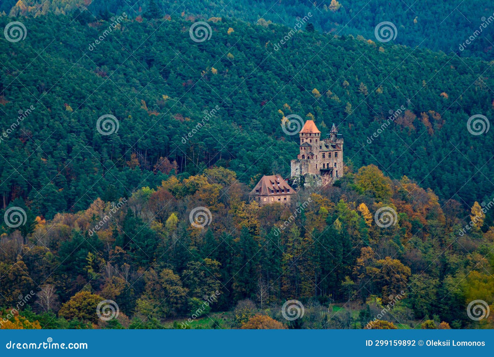 a castle in the middle of a forest with a mountain in the background and trees in the foreground