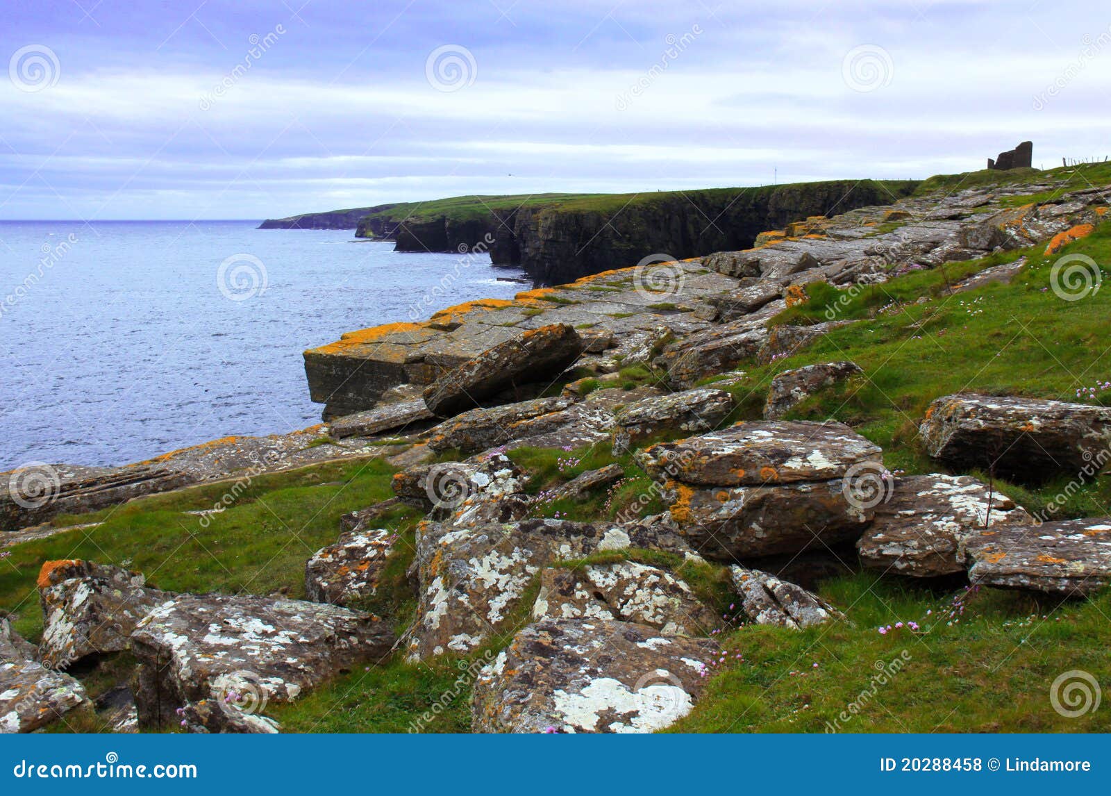 Castle of Old Wick, Caithness, Scotland, UK Stock Photo Image of