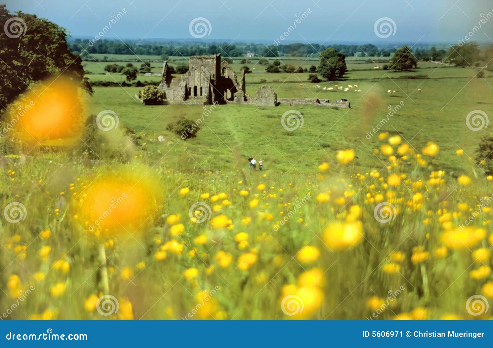 castle ruin within green meadows