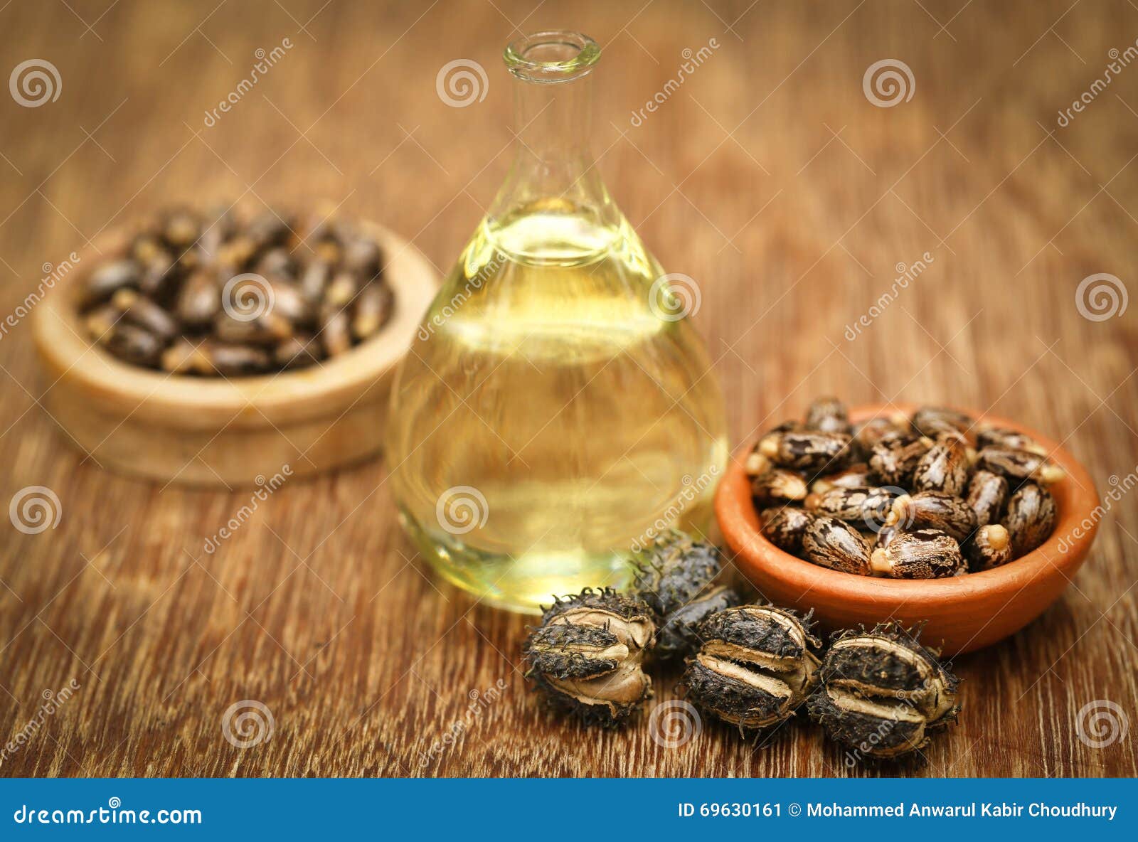 castor beans and oil