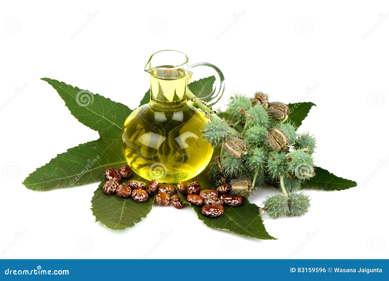 castor oil bottle with castor fruits, seeds and leaf.