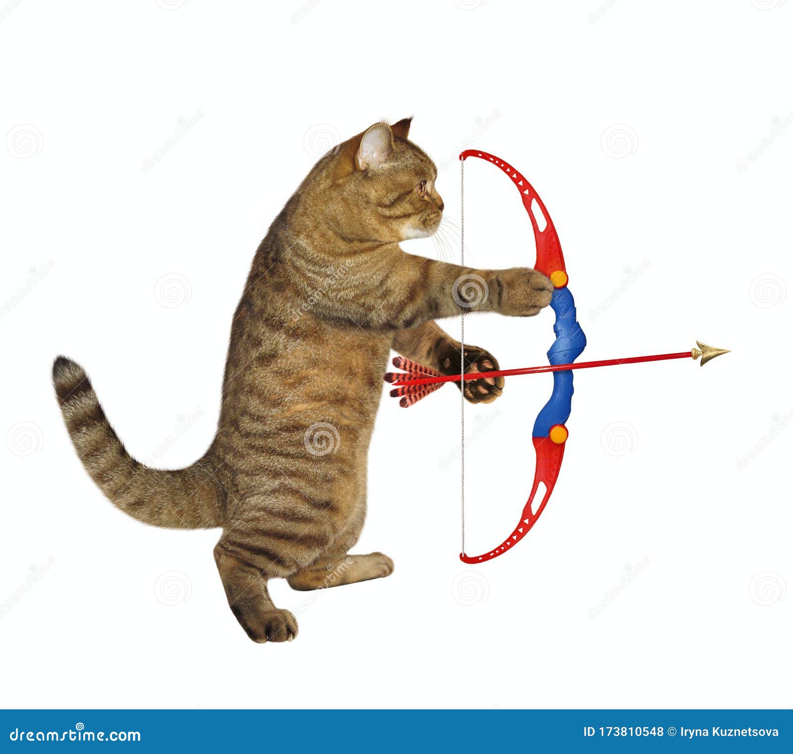 Cat archer shooting arrows stock photo. Image of mood 173810548
